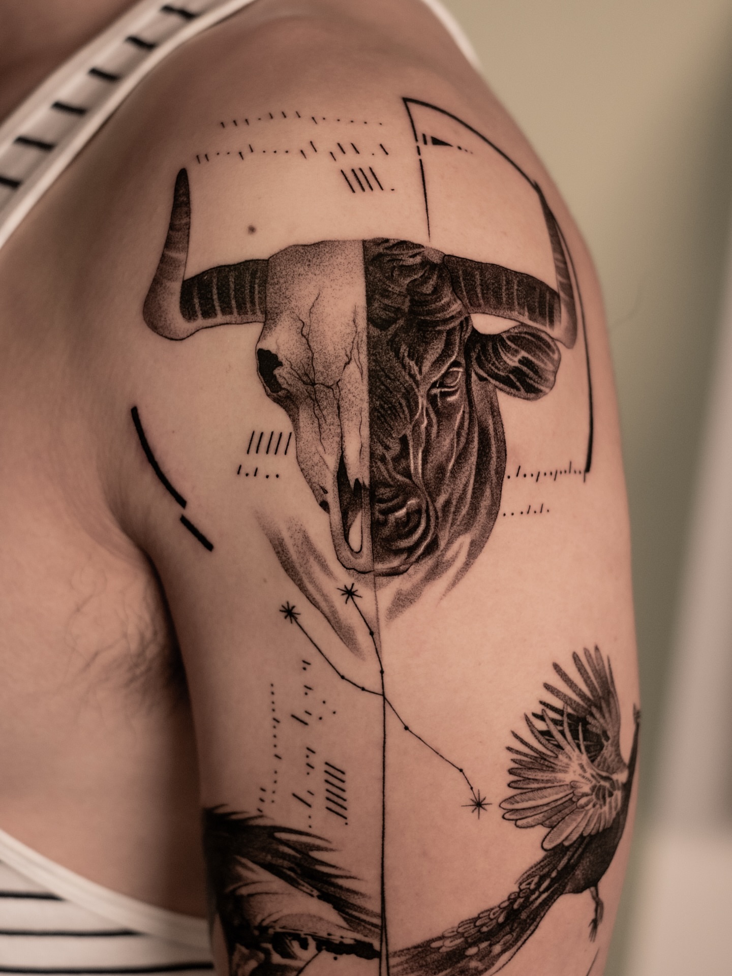 Bull skull and bird realism tattoo on the shoulder by Mark D, Los Angeles, California