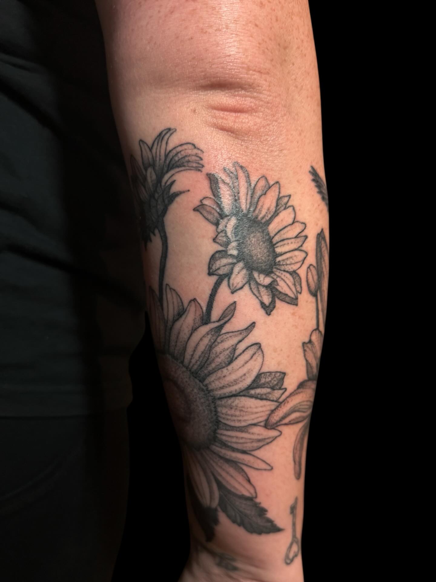Sunflowers black and grey tattoo on the forearm by Brennan Walker, Orem, Utah