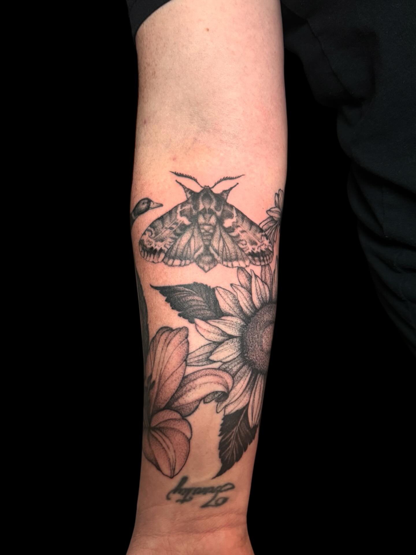 Moth and sunflower dotwork tattoo on the forearm by Brennan Walker, Orem, Utah