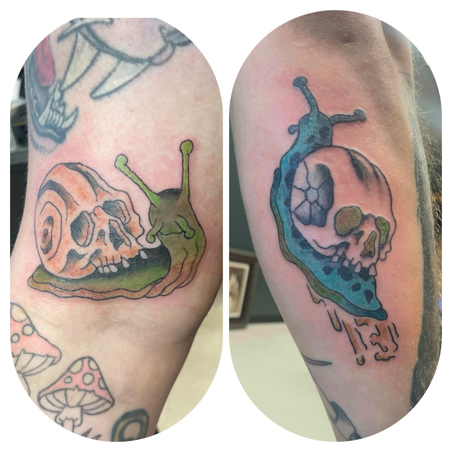 Snail skull dark realism tattoo on the forearm by Logan Casimir