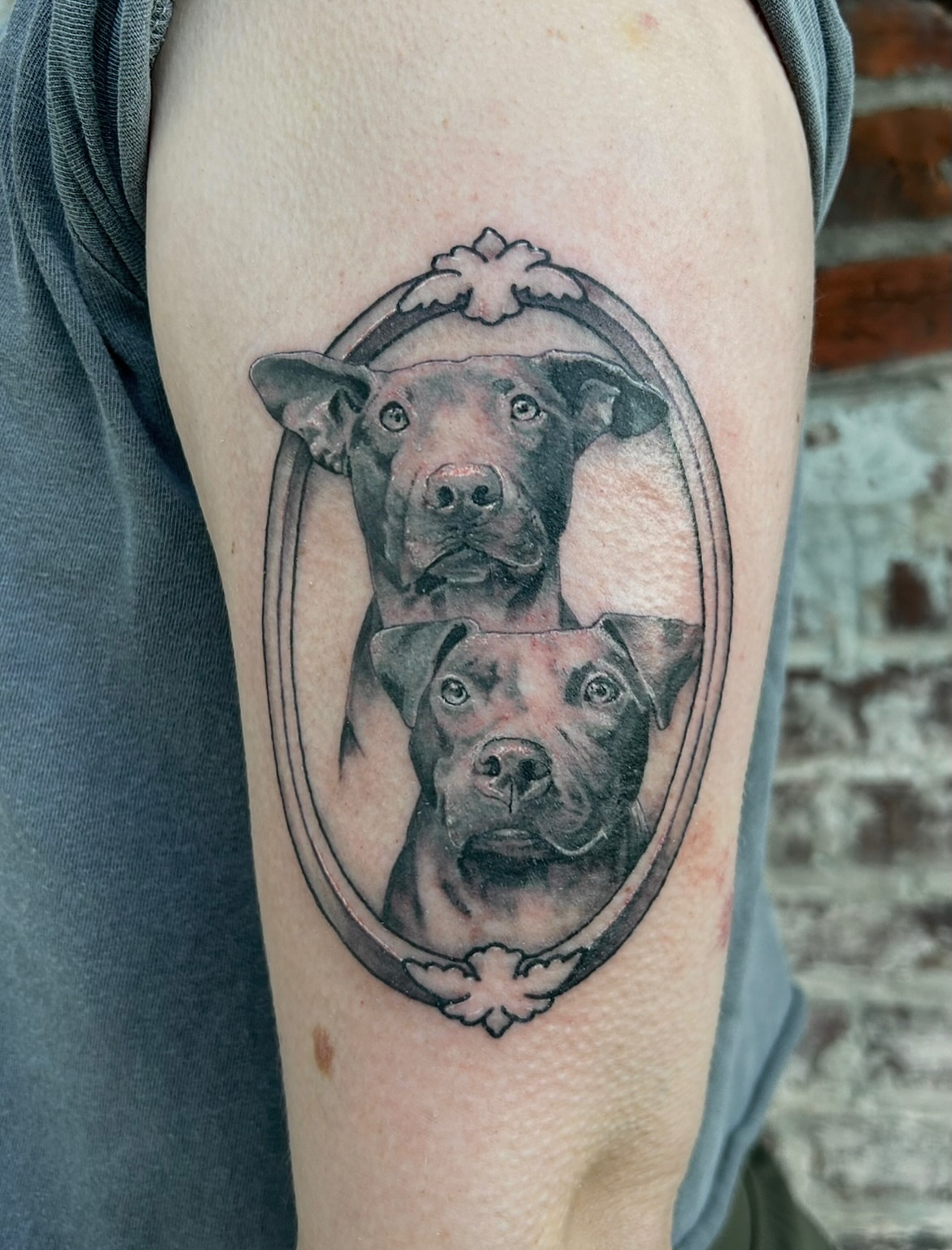 Dogs realism tattoo on the forearm by Tate Wortham