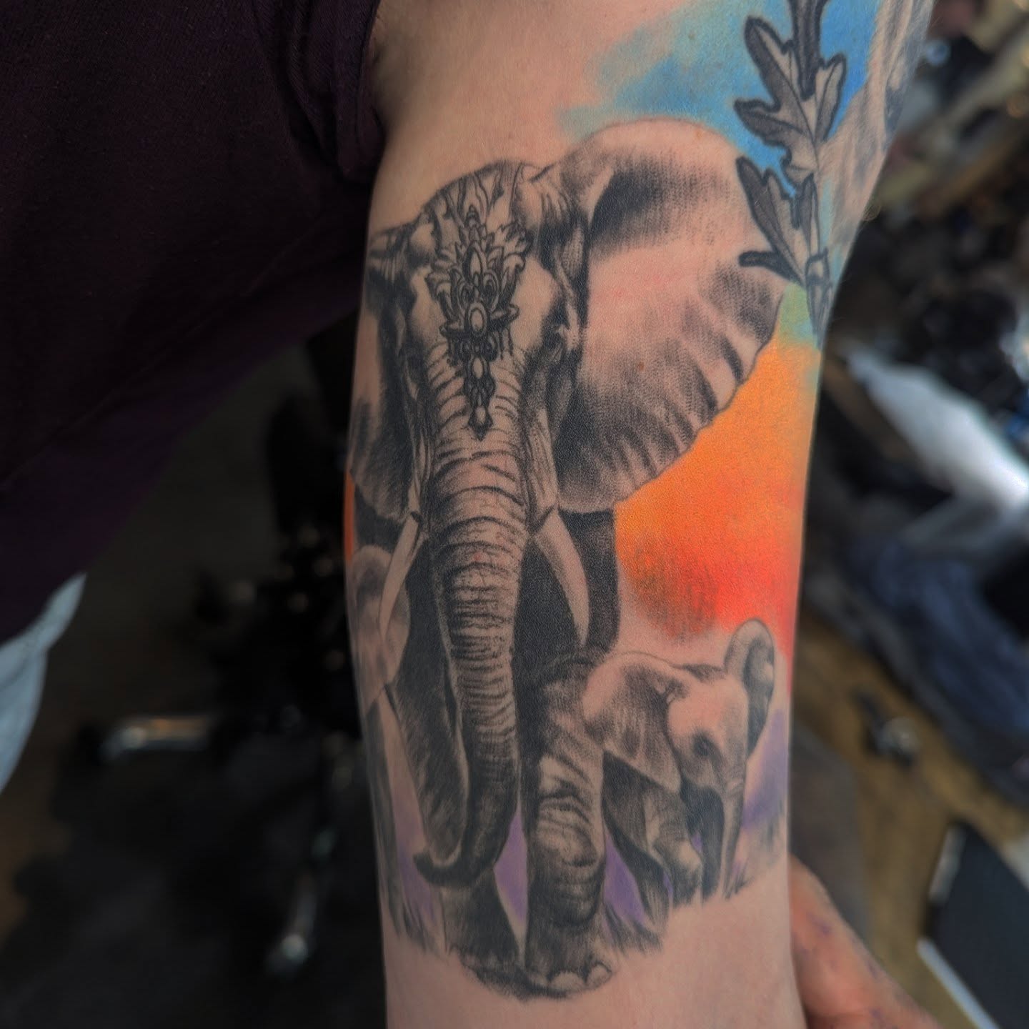 Elephant family realism tattoo on the forearm by Nic Skrade, Minneapolis, Minnesota