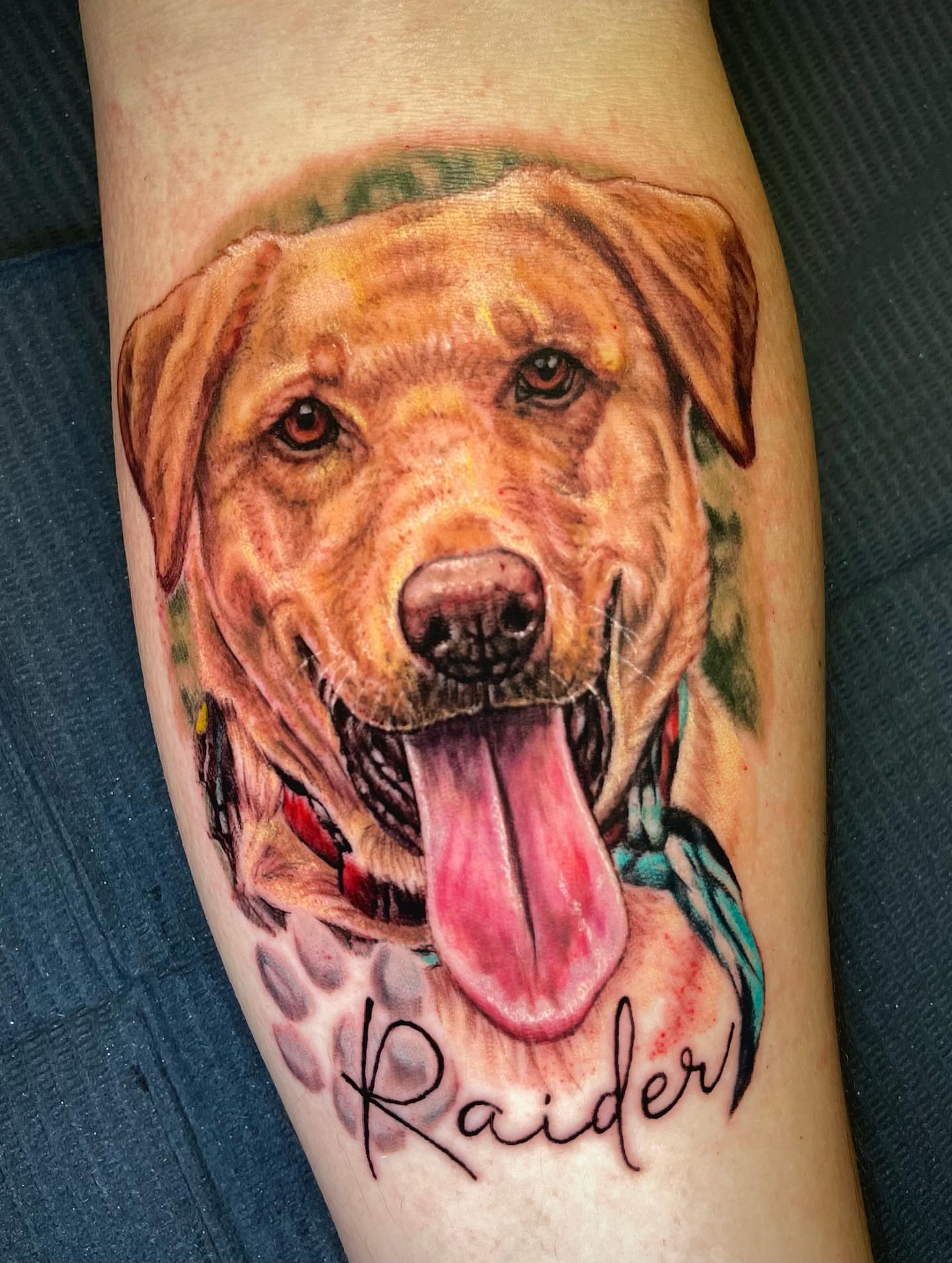 Dog realism tattoo on the forearm by Rick Elliott
