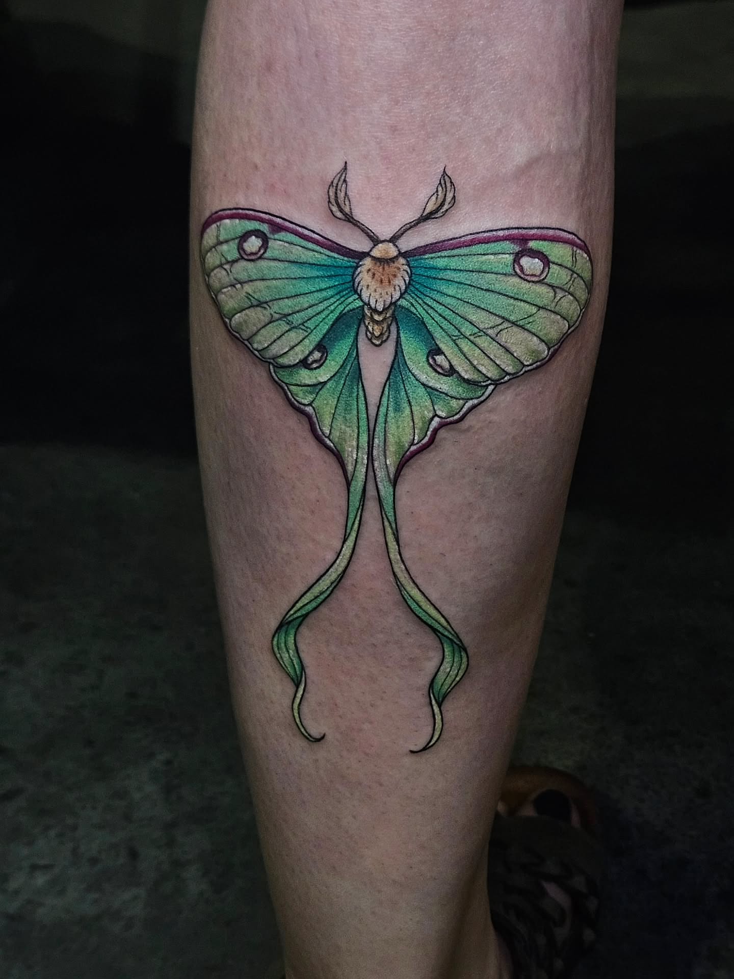 Moon moth realism tattoo on the forearm by Kassy Fiori