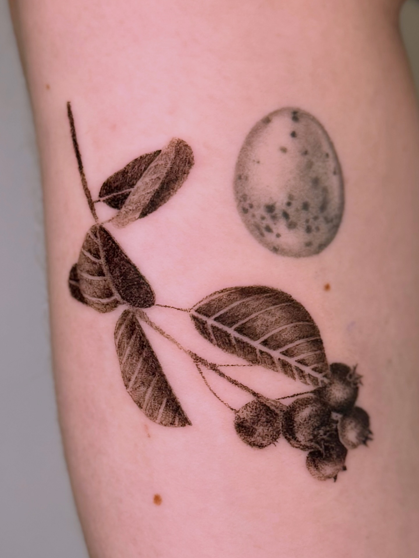 Tattoo by @redrooktattoo — black_and_grey