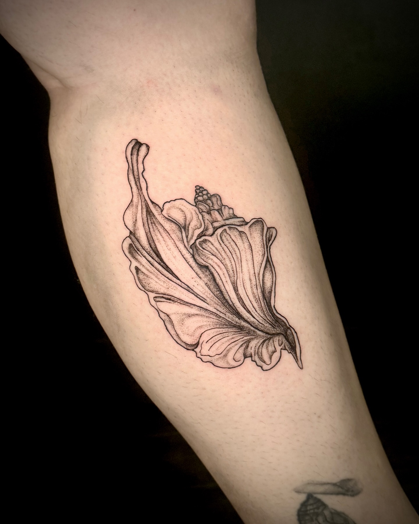 Flower realism tattoo on the forearm by Kam Mills