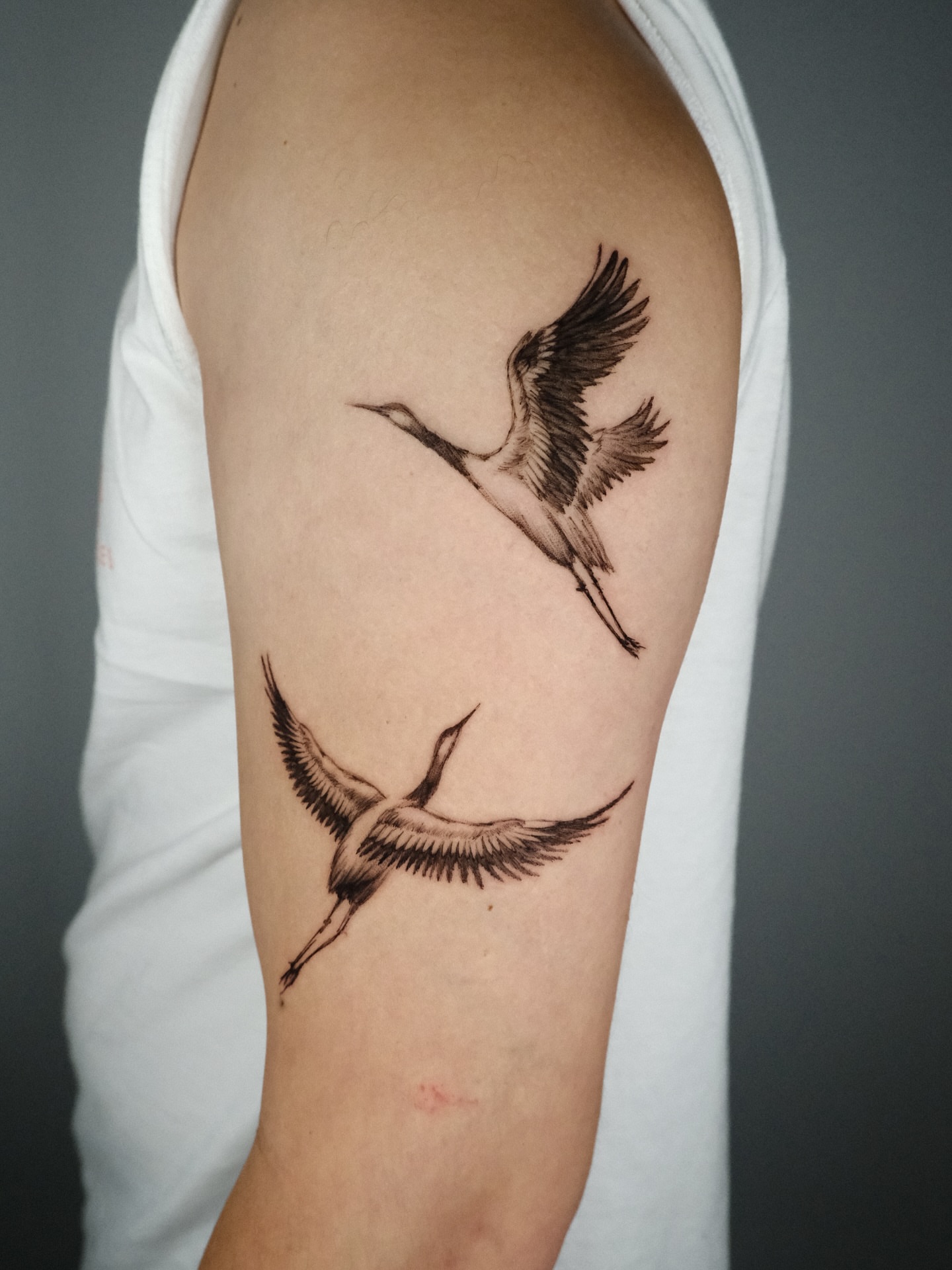 Cranes black and grey tattoo on the forearm by HanaKaki