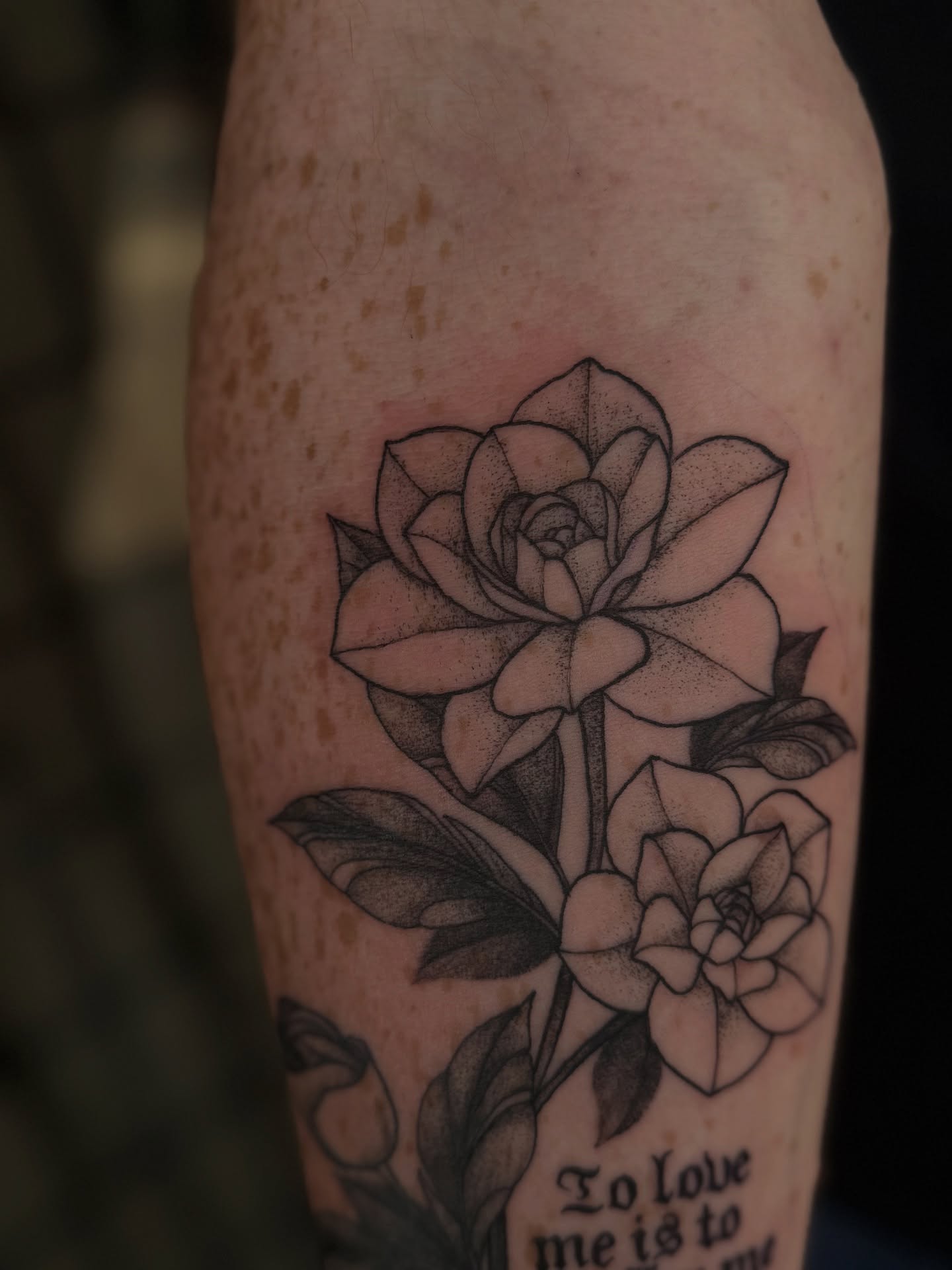 Tattoo by @porcelain_tats โ dotwork, black_and_grey