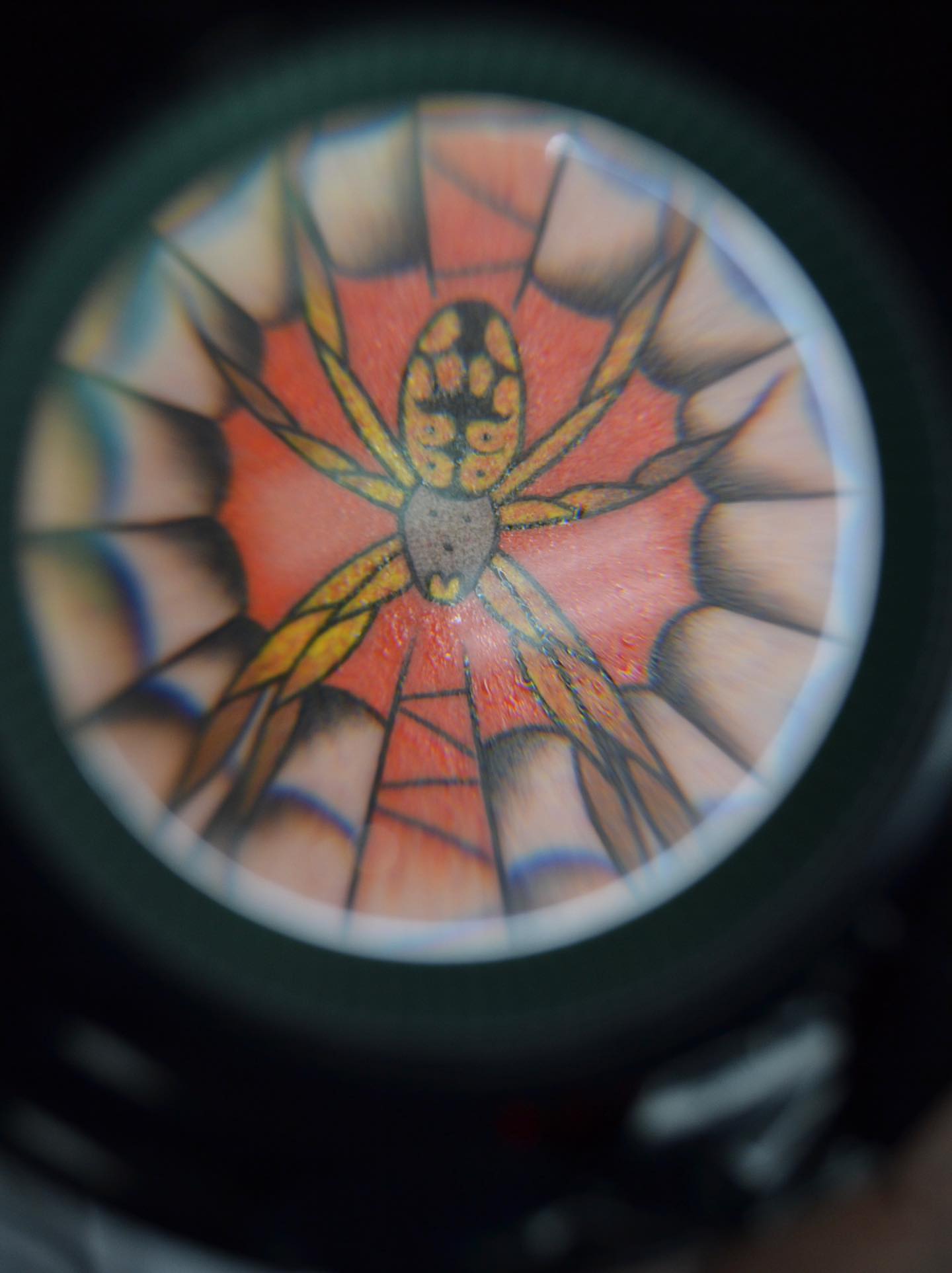 Spider American traditional tattoo on the forearm by Vanessa Acosta