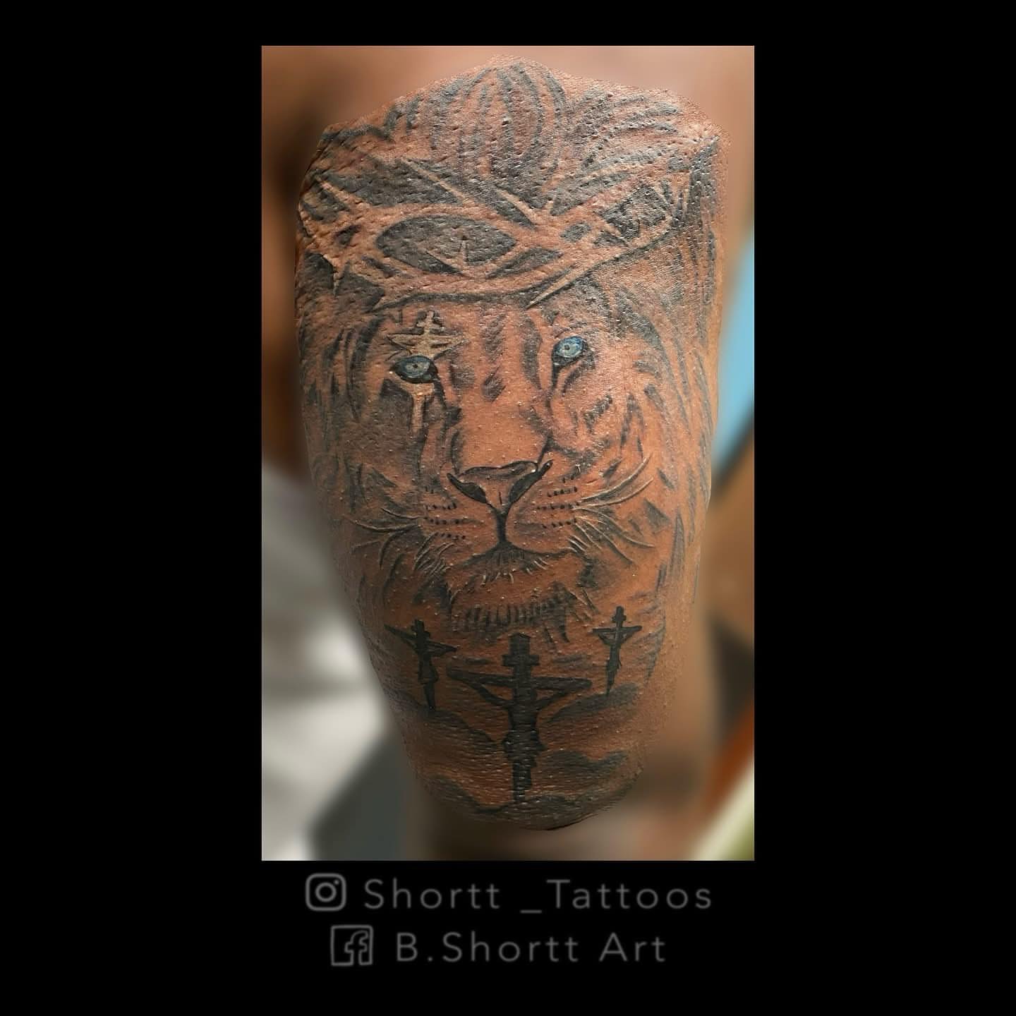 Lion realism tattoo on the forearm by Brie Marie