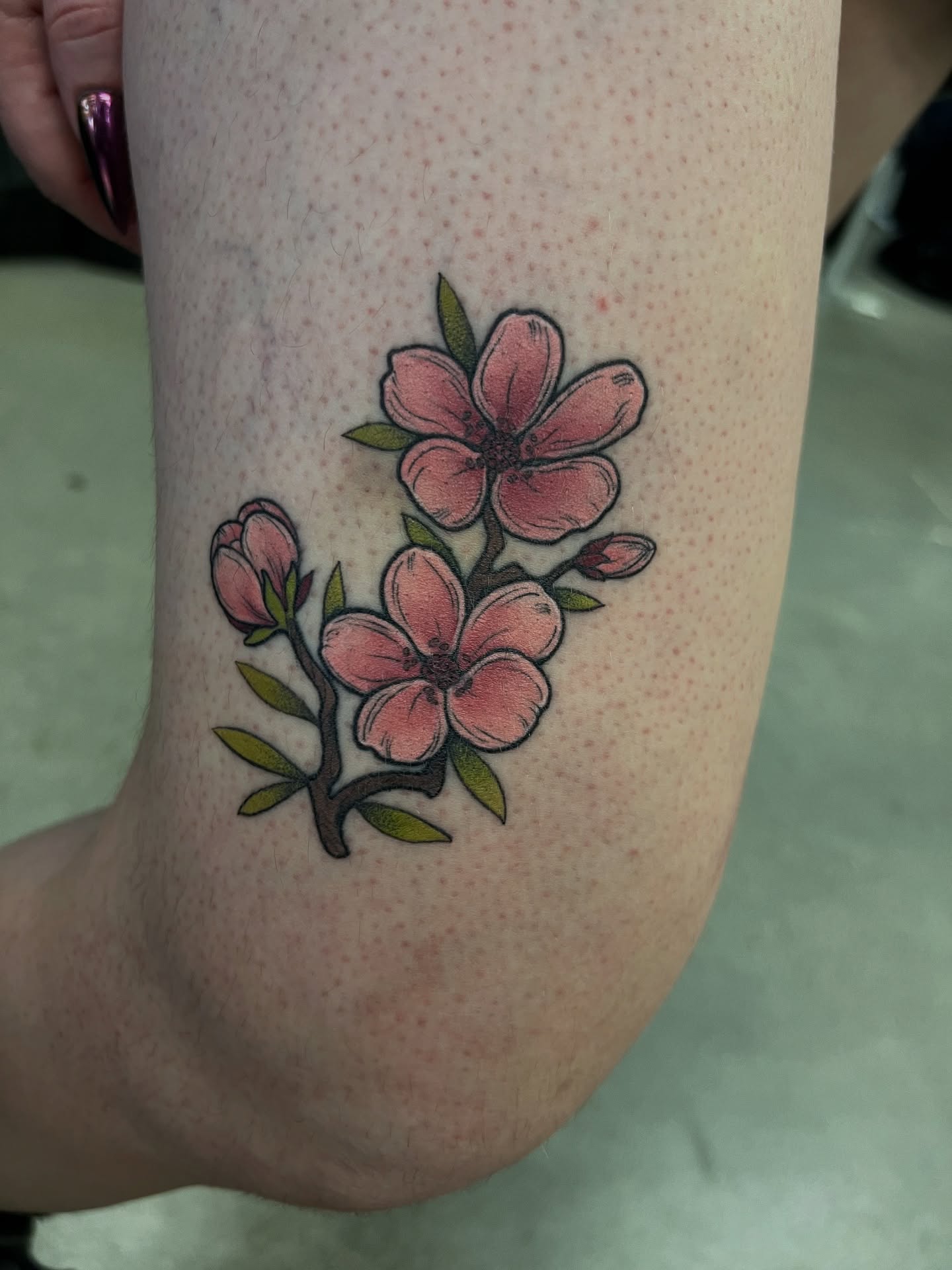 Cherry blossoms dotwork tattoo on the forearm by Maia Papaya Tattoos 🐝 Olympia Tattoo Artist