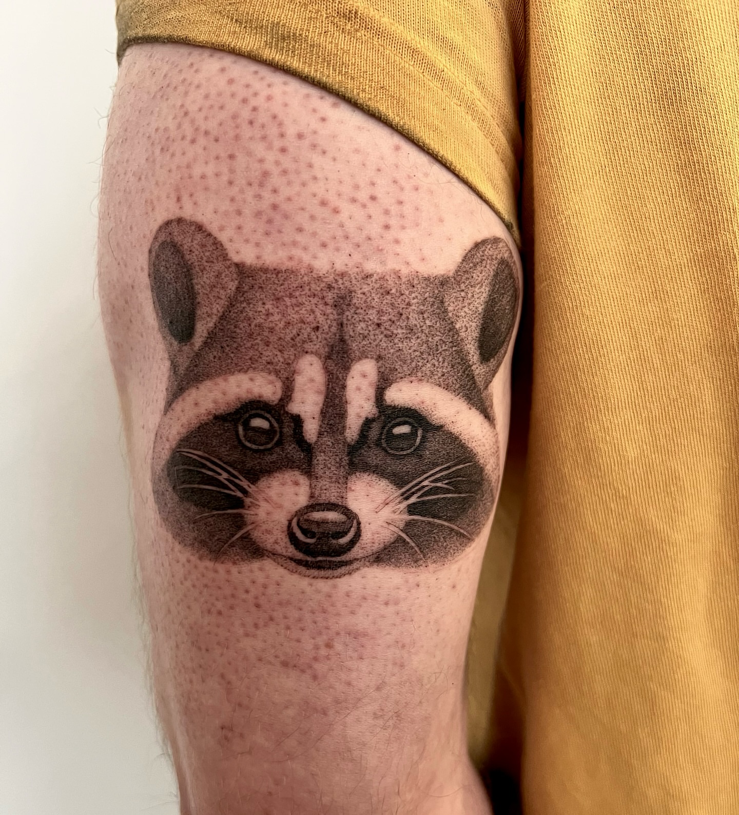Raccoon dotwork tattoo on the forearm by 𝑱𝒖𝒍𝒊𝒂𝒏𝒏𝒂 𝑴𝒆𝒏𝒏𝒂✥𝑷𝒉𝒊𝒍𝒂𝒅𝒆𝒍𝒑𝒉𝒊𝒂✥𝑩𝒍𝒂𝒄𝒌 𝒂𝒏𝒅 𝑮𝒓𝒂𝒚