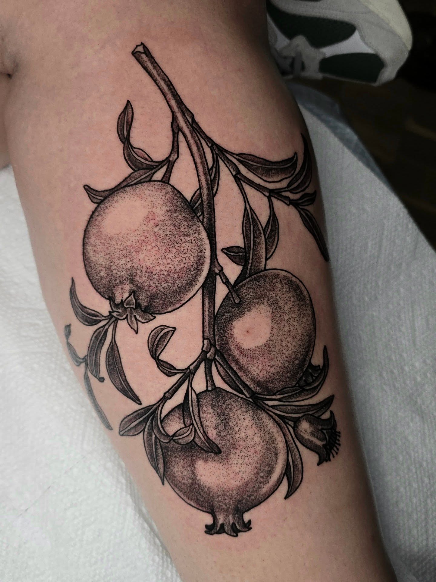Pomegranates dotwork tattoo on the thigh by Adison Essig