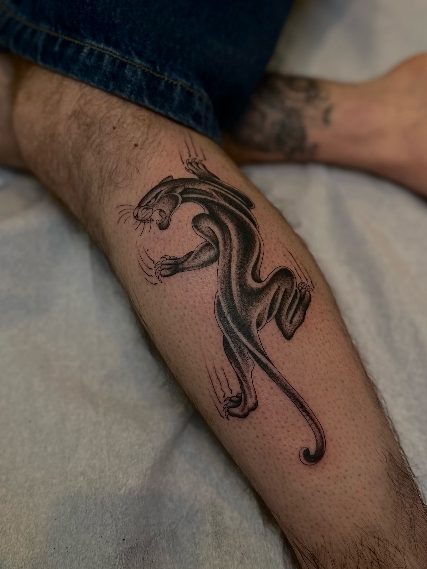 Panther black and grey tattoo on the forearm by Адріянна Стабс 🇺🇦, New York, New York