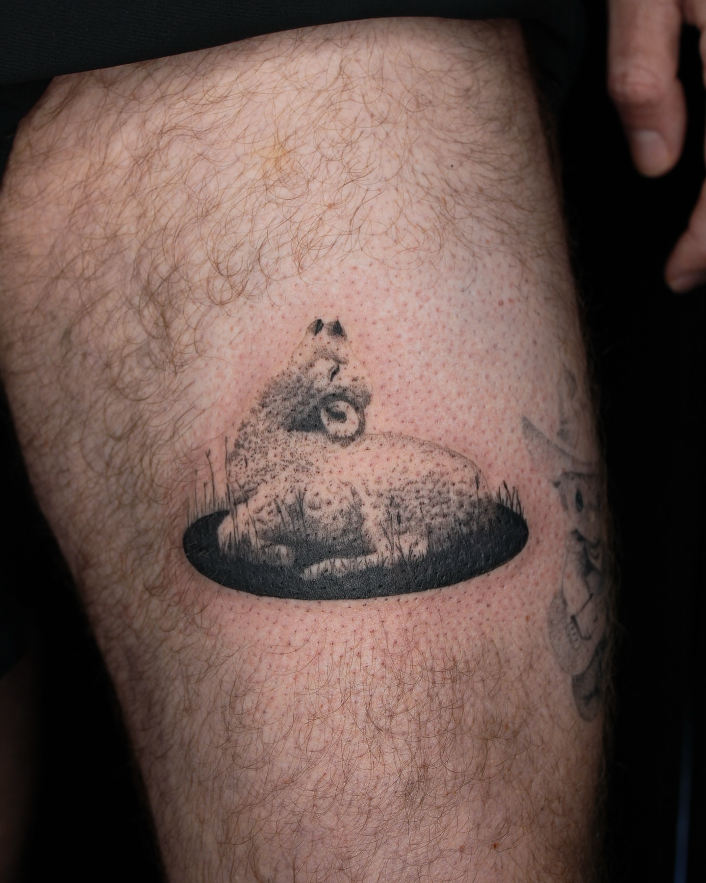 Wolf dotwork tattoo on the thigh by ππ²π§π§ ππ’π₯πππ« (π©π¦