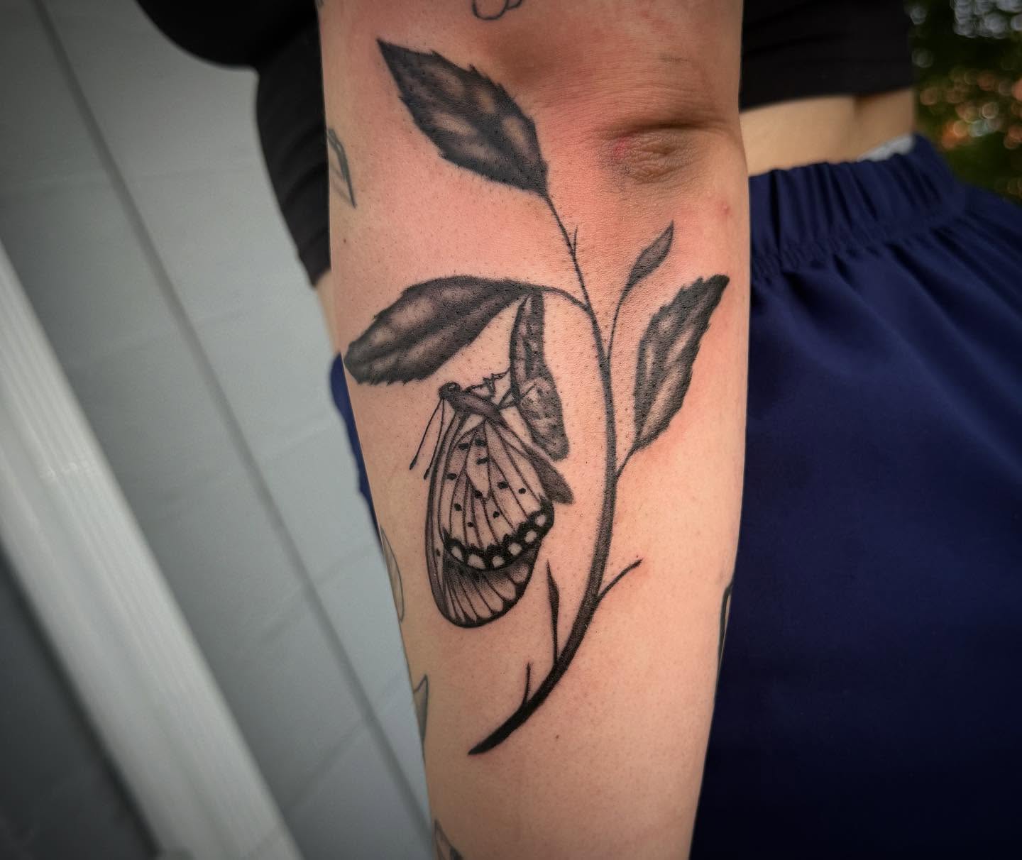 Butterfly and plant black and grey tattoo on the forearm by Alexis Monkiewicz
