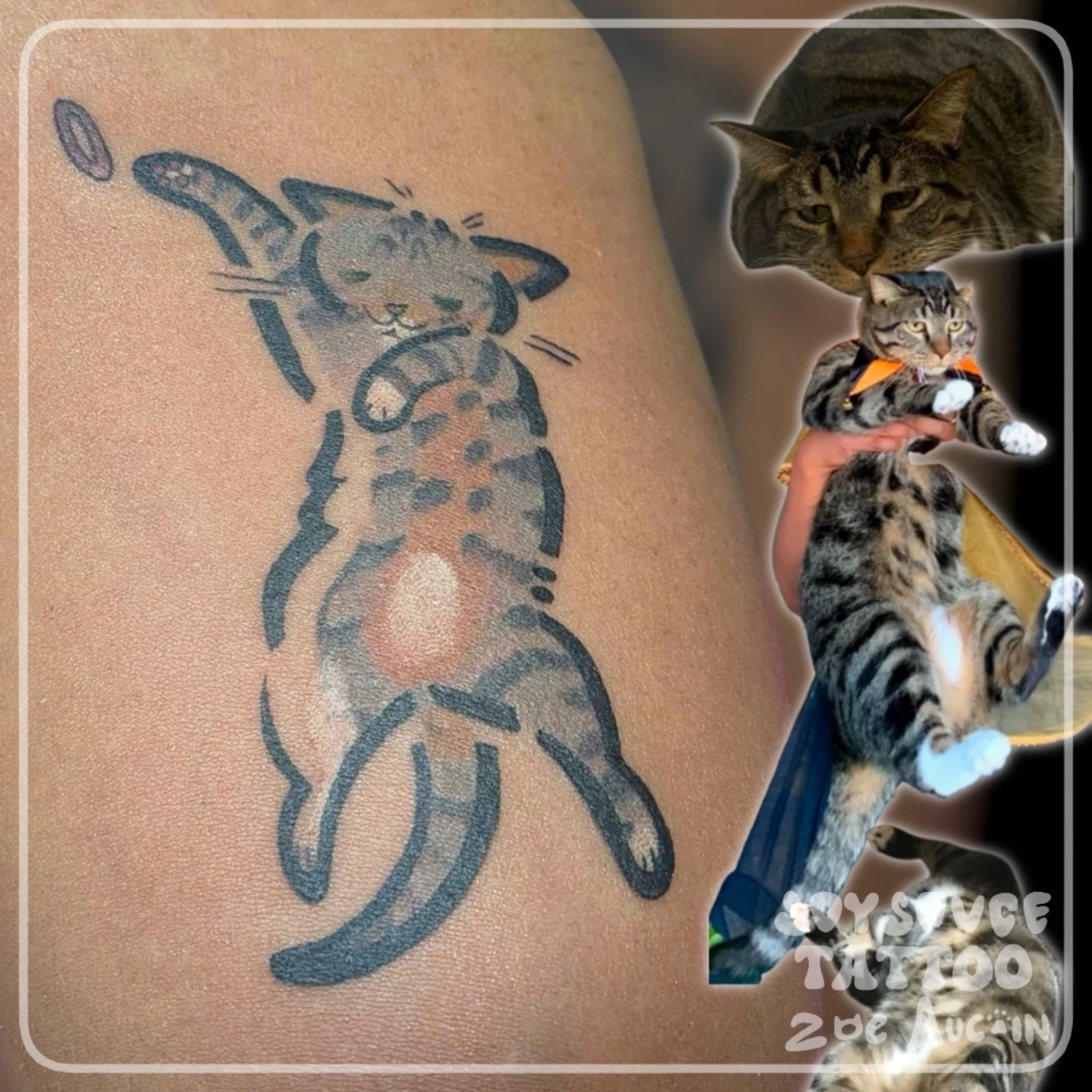 Cat black and grey tattoo on the upper arm by Zoe Aucoin