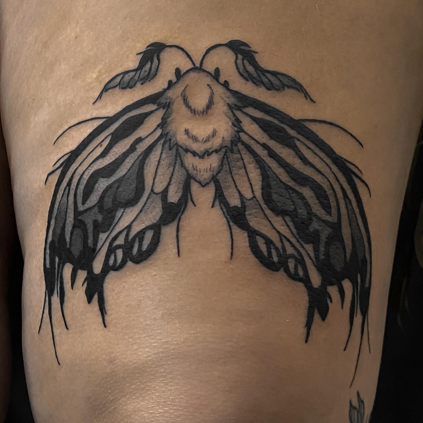 Moth black and grey tattoo on the thigh by ✥ G i t t a ✥