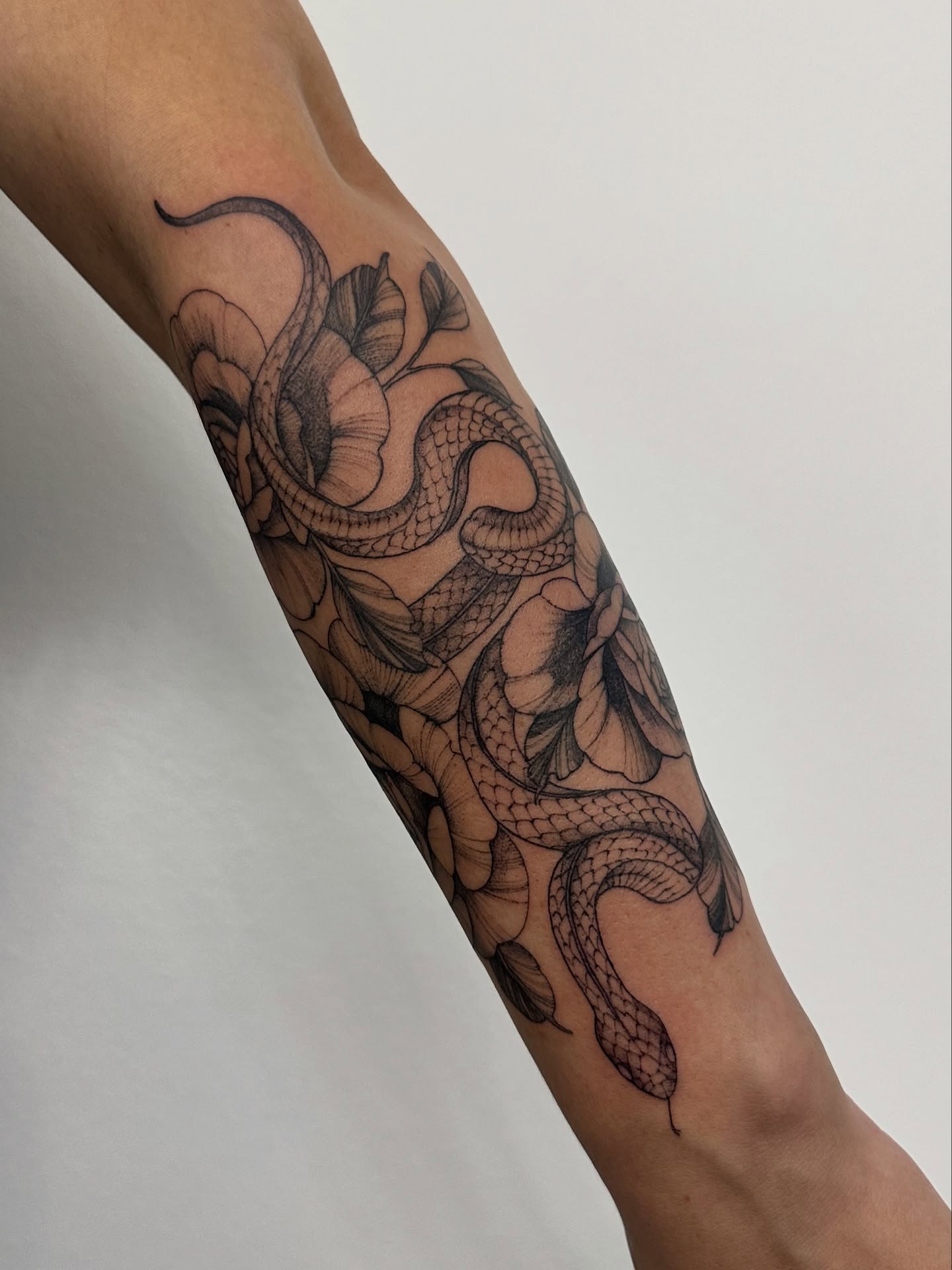 Snake and leaves black and grey tattoo on the forearm by ๐ฌ๐๐๐ฏ๐ ๐ฆ ๐๐ฉ๐ฆ๐ท๐๐๐ข๐ฑ๐ฅ ๐ซง๐ผ, Joplin, Missouri