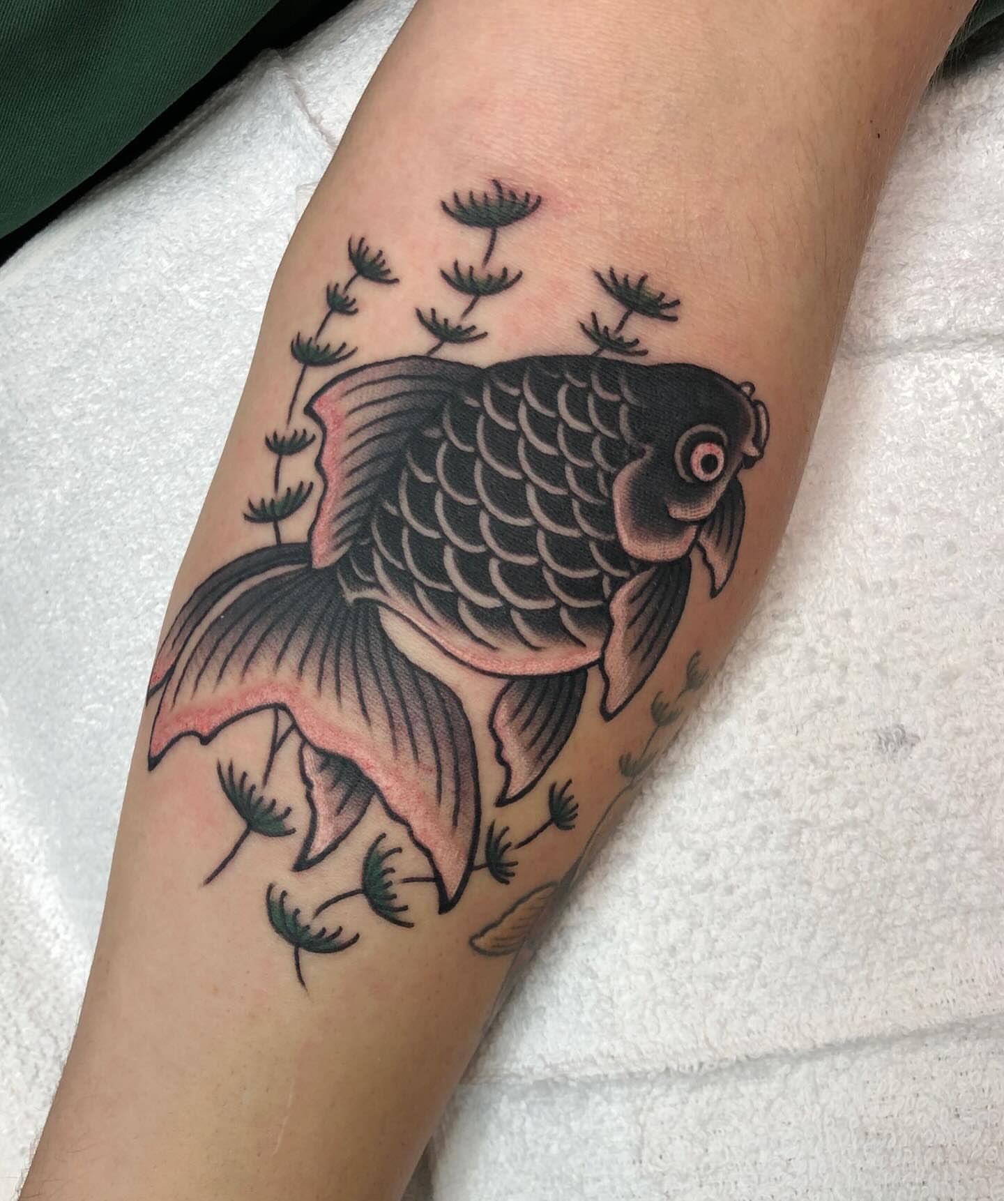 Koi fish American traditional tattoo on the forearm by Matt Klass