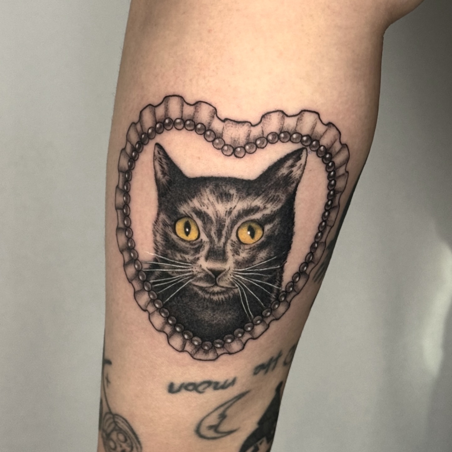 Cat realism tattoo on the forearm by โโฎโ๐ถ๐๐ฝ๐๐๐ู เฃชโญ las vegas tattoo artist