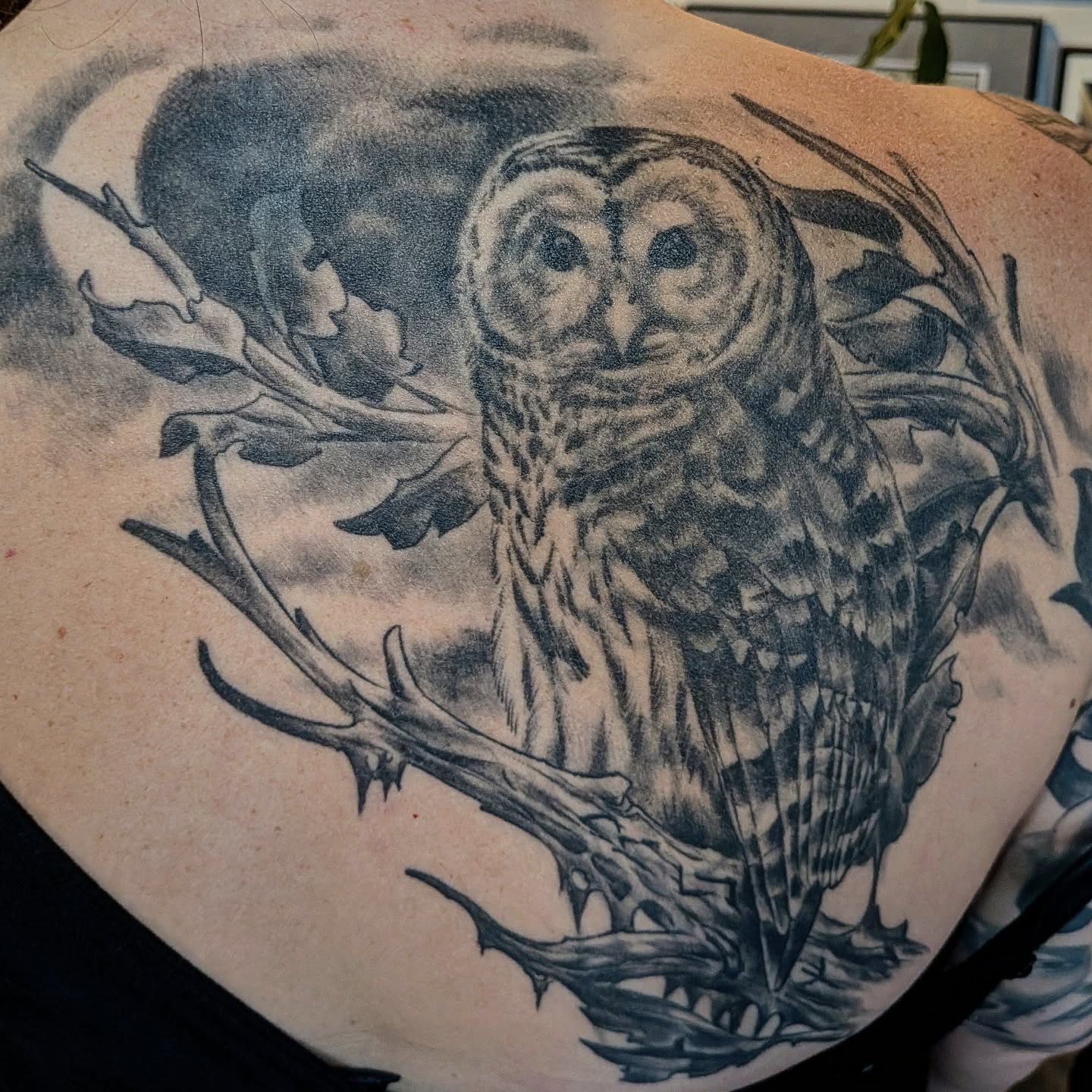 Owl black and grey tattoo on the shoulder by Nic Skrade, Minneapolis, Minnesota