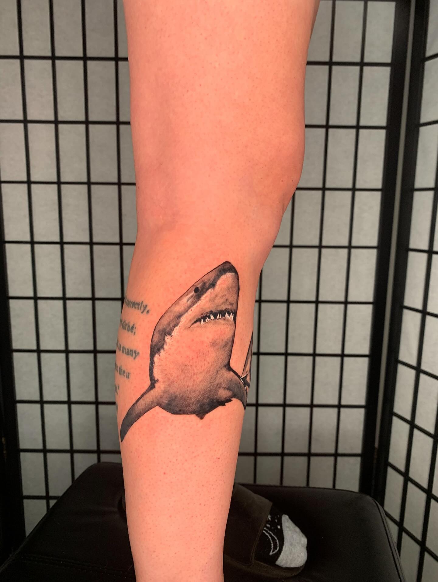 Shark realism tattoo on the forearm by Devon