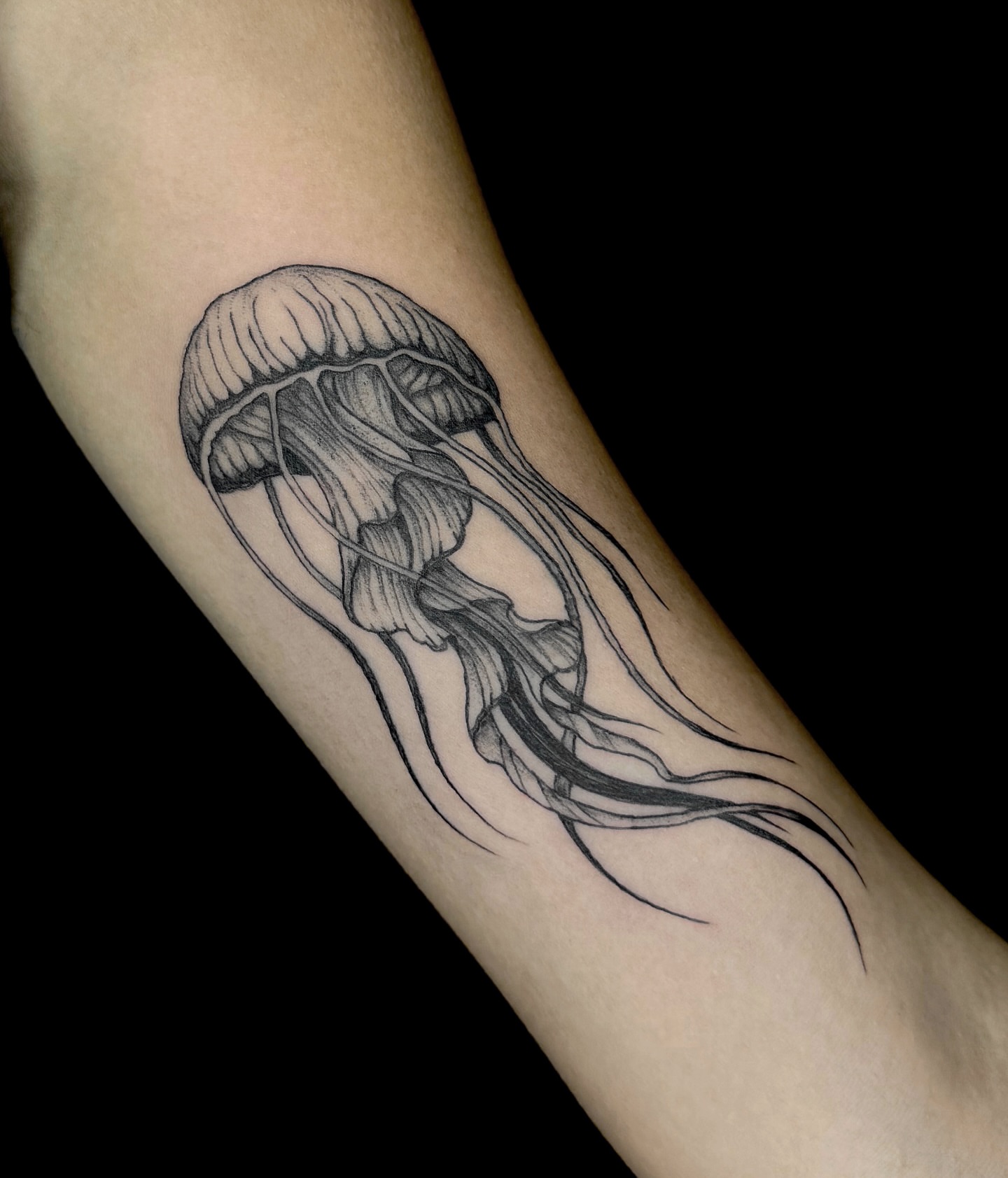 Jellyfish black and grey tattoo on the forearm by Kam Mills