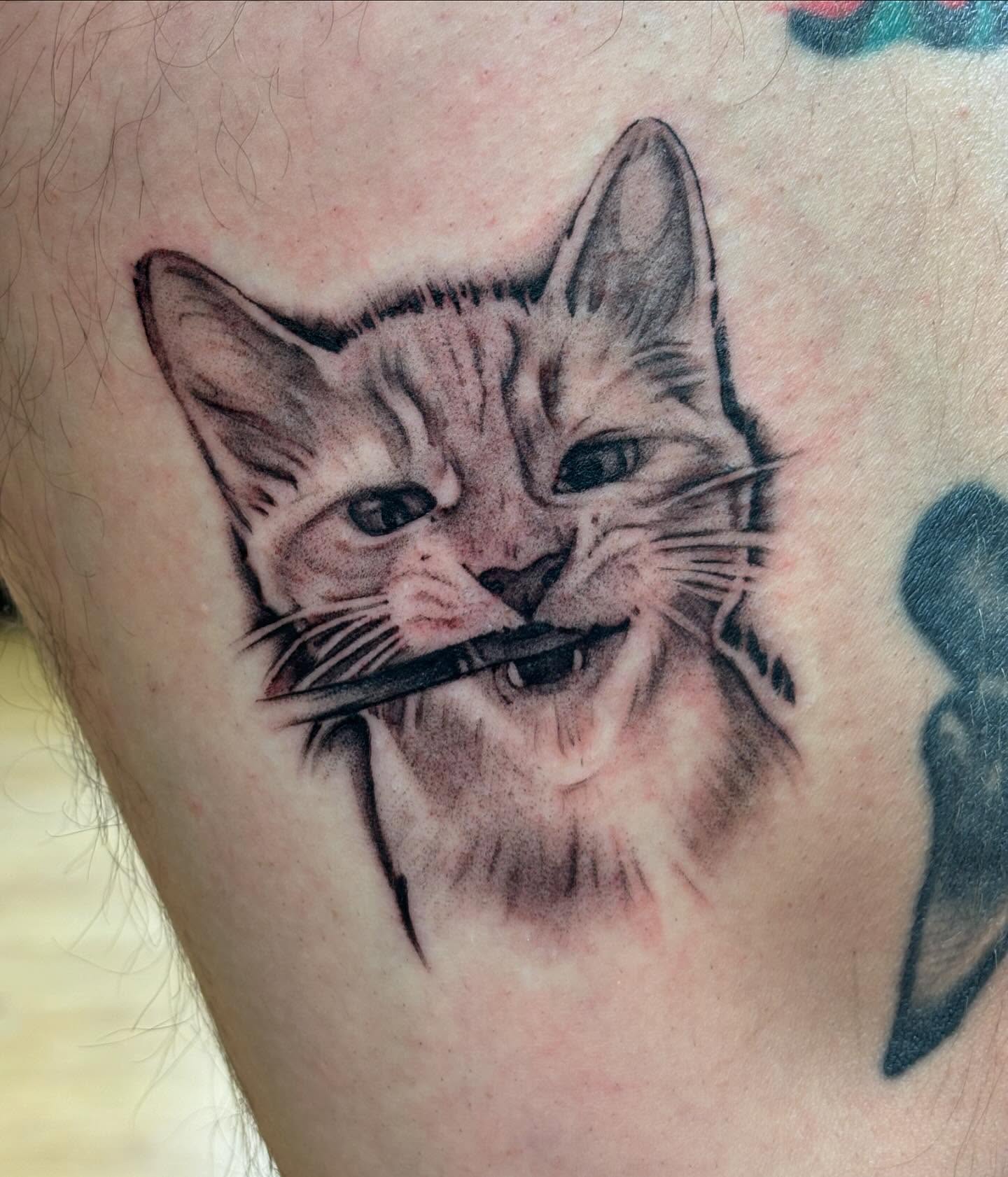Cat realism tattoo on the thigh by Storm