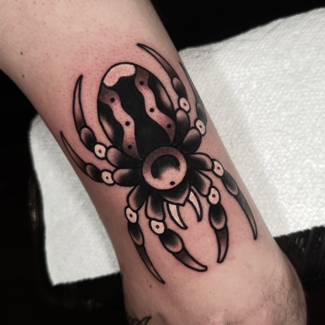 Spider American traditional tattoo on the forearm by Schyler Ames, Canal Fulton, Ohio