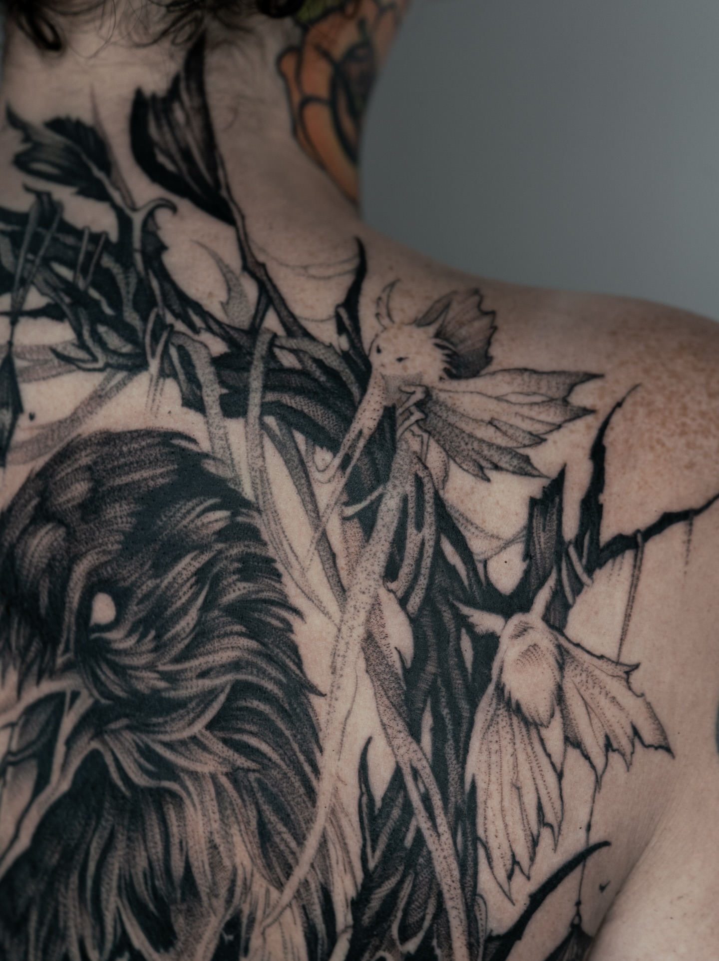 Faerie and foliage dotwork tattoo on the shoulder by Bruna Bianculli