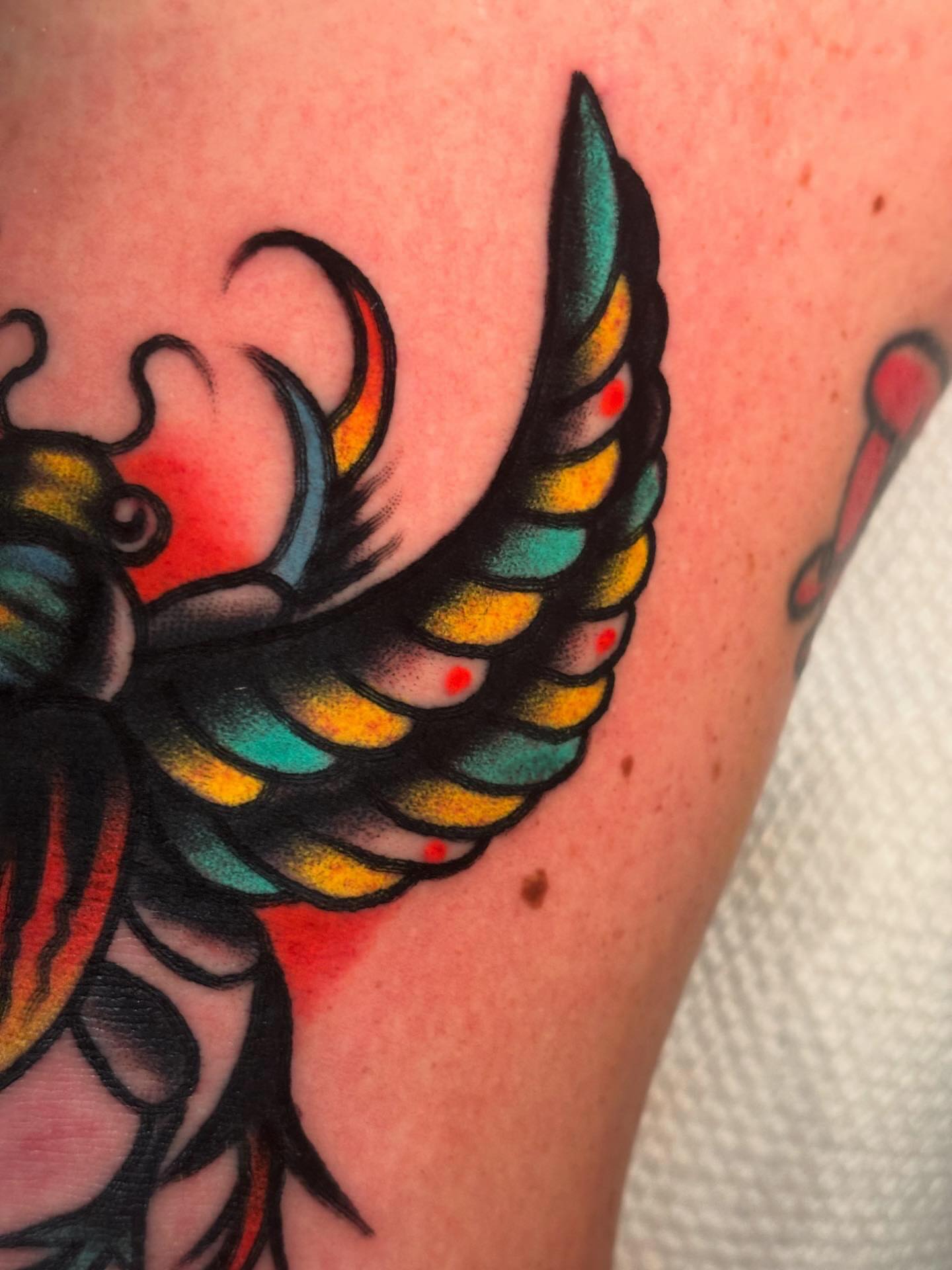 Tattoo by @nickytats — american_traditional