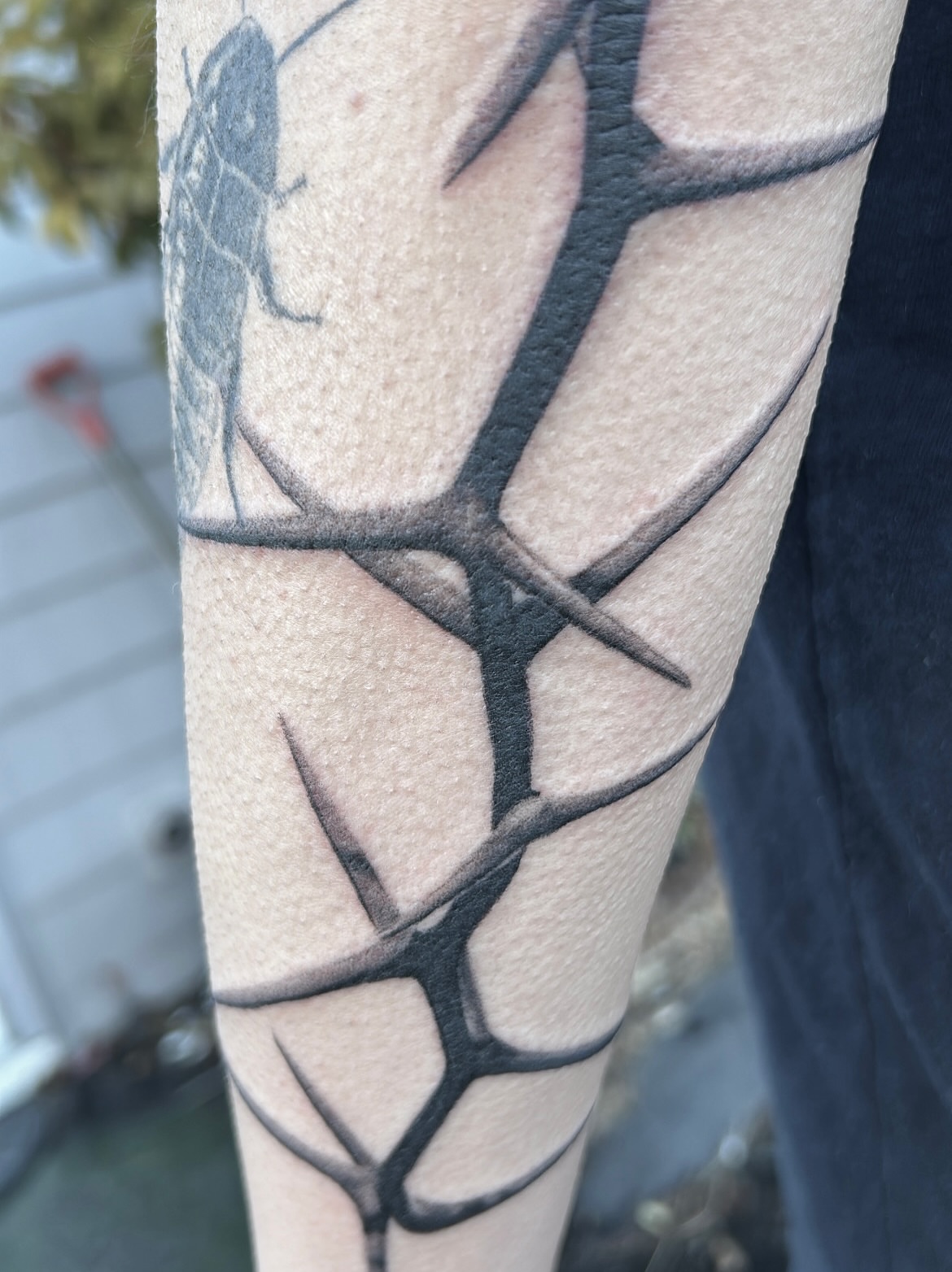 Branch pattern geometric tattoo on the forearm by Roman Butryy