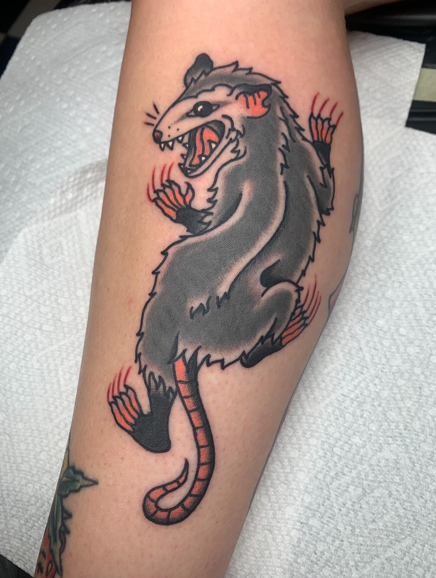 Possum American traditional tattoo on the forearm by April Morris ⚔️ Tattoo Goblin