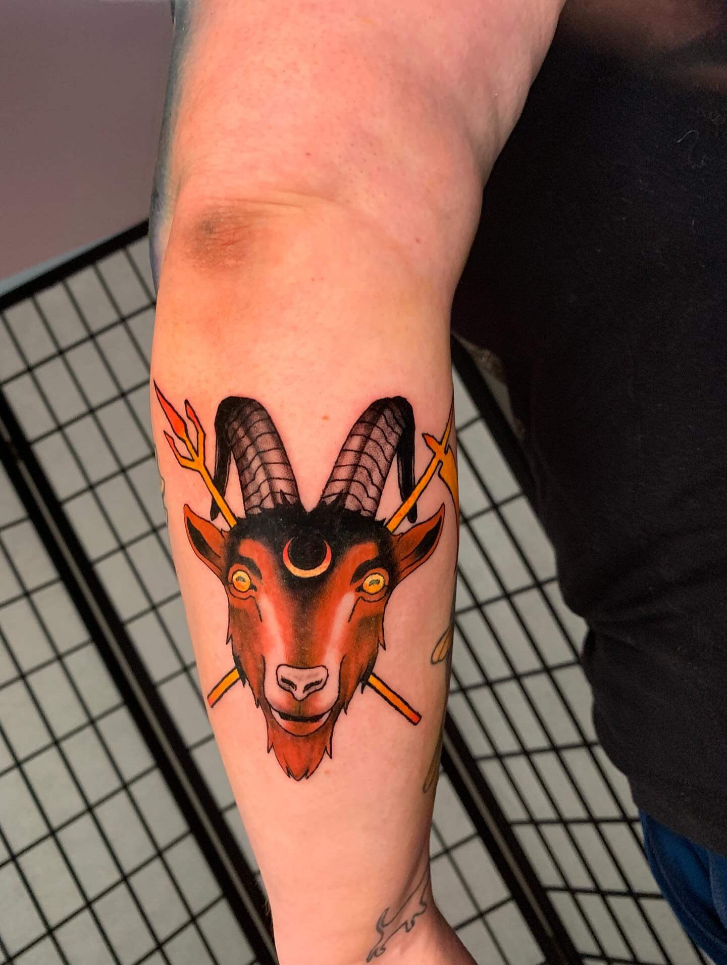Goat head American traditional tattoo on the forearm by Devon