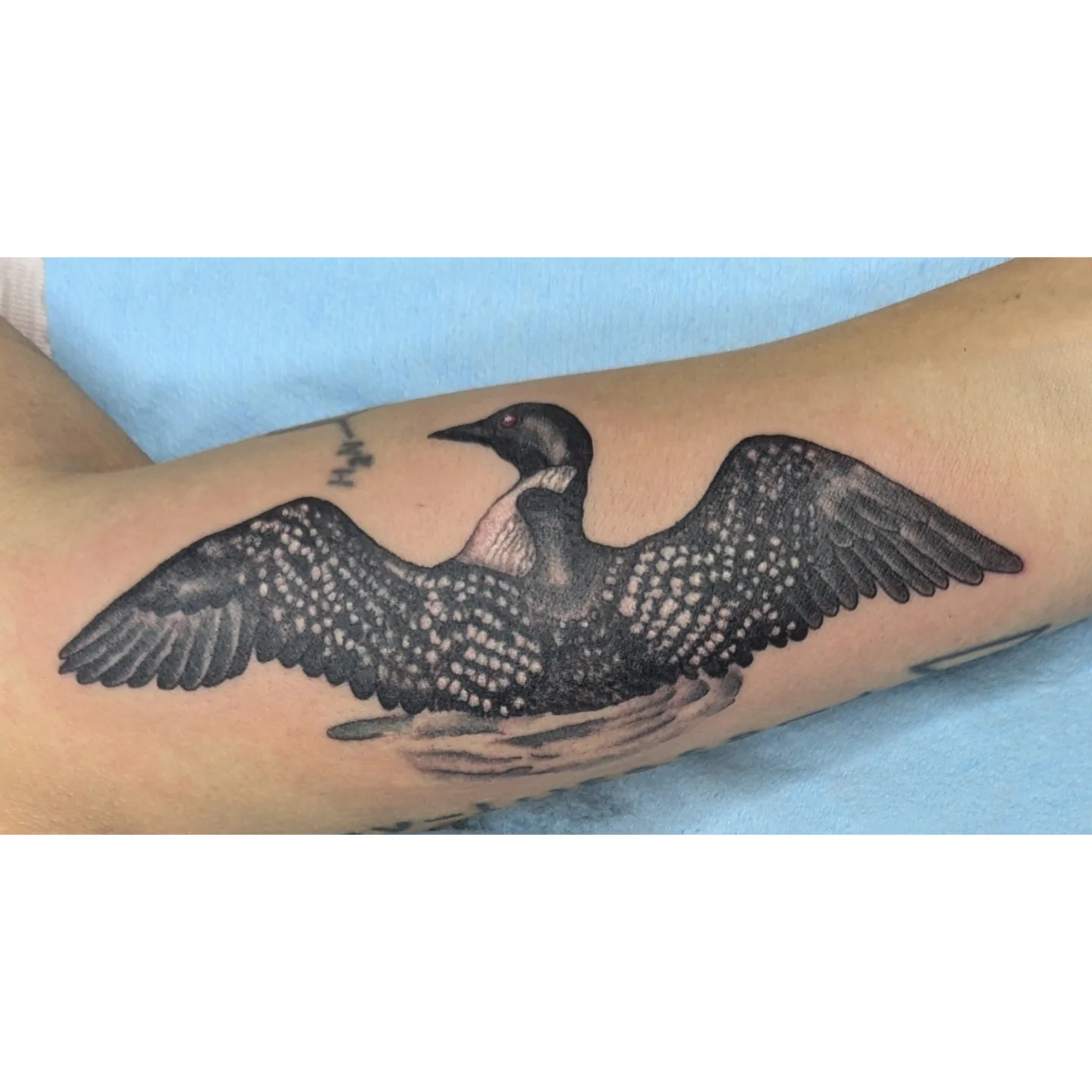 Tattoo by @j9ladylucktattoo — realism