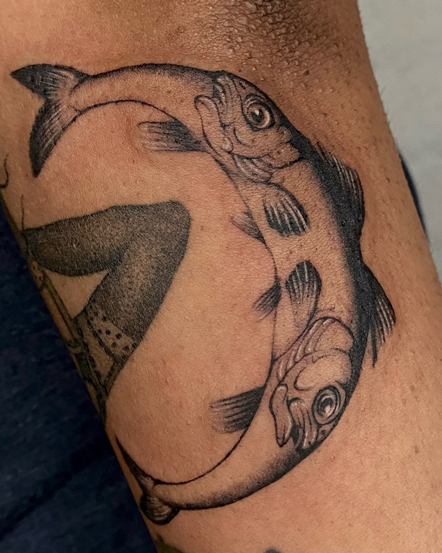 Tattoo by @cowgurl_bebop — black_and_grey
