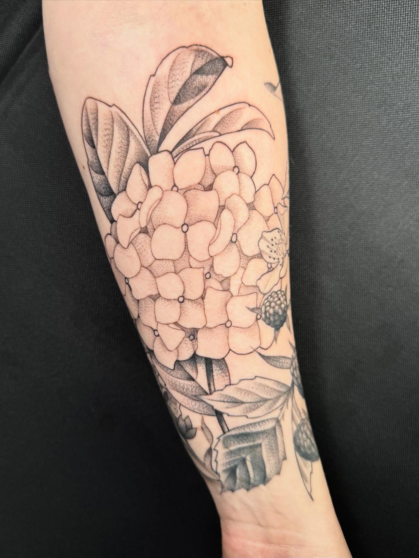 Hydrangea dotwork tattoo on the forearm by Miles Romero Smith
