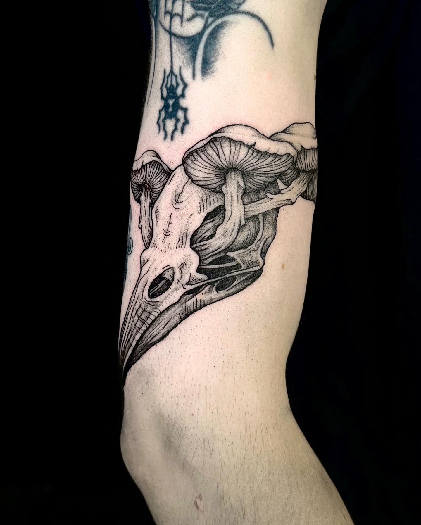 Skull and mushrooms realism tattoo on the forearm by Kam Mills