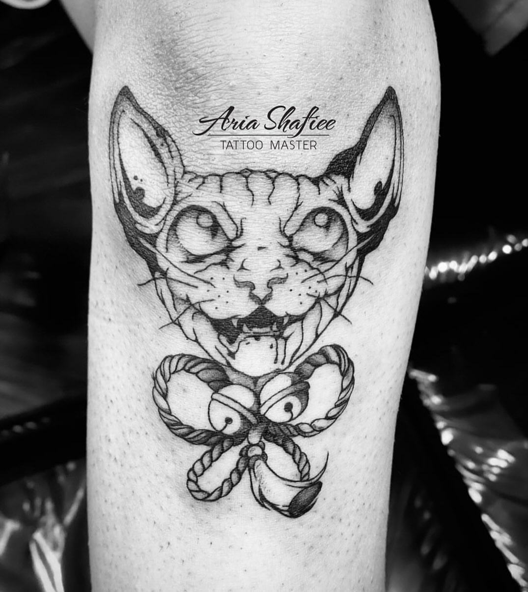 Cat with rope realism tattoo on the forearm by Aria Shafiee