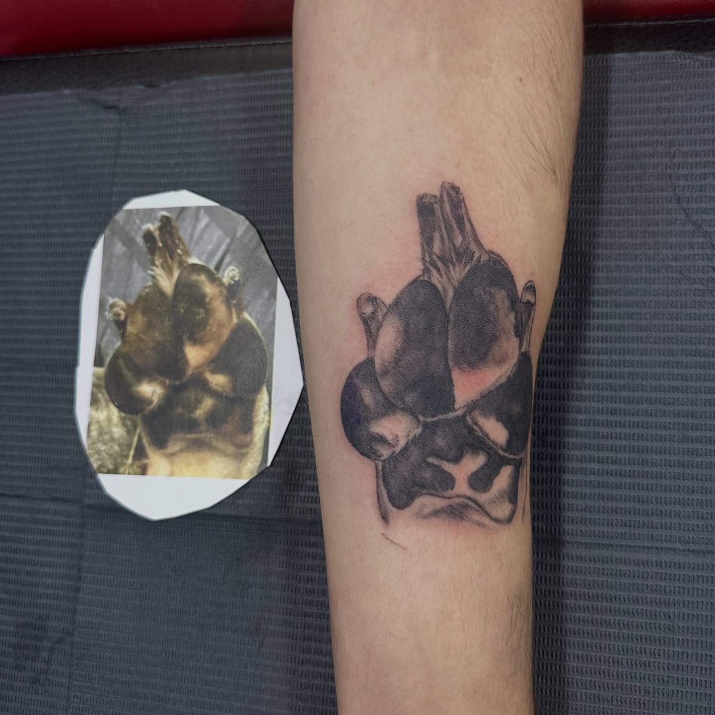 Dog realism tattoo on the forearm by Bosco Layne