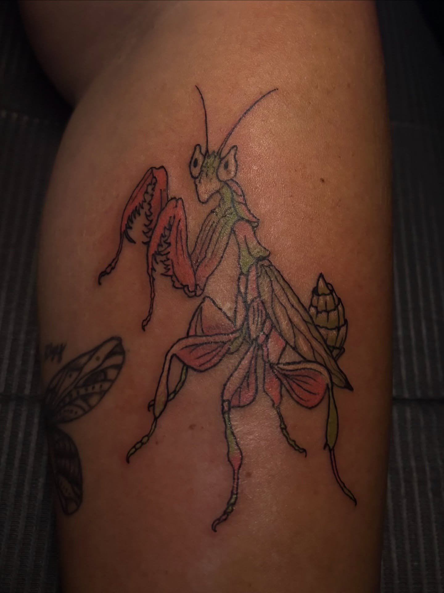 Praying mantis realism tattoo on the thigh by Lexi