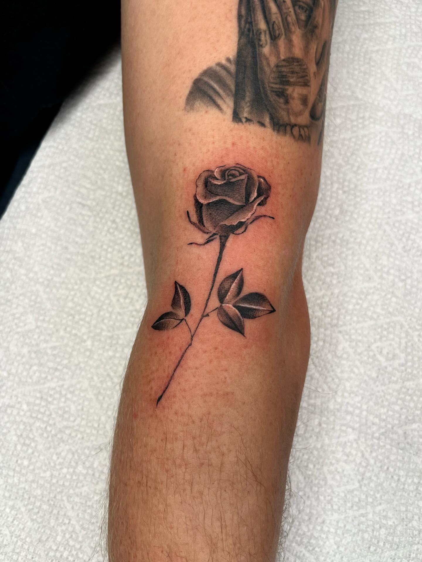 Rose black and grey tattoo on the forearm by zach arlan, Kansas City, Missouri