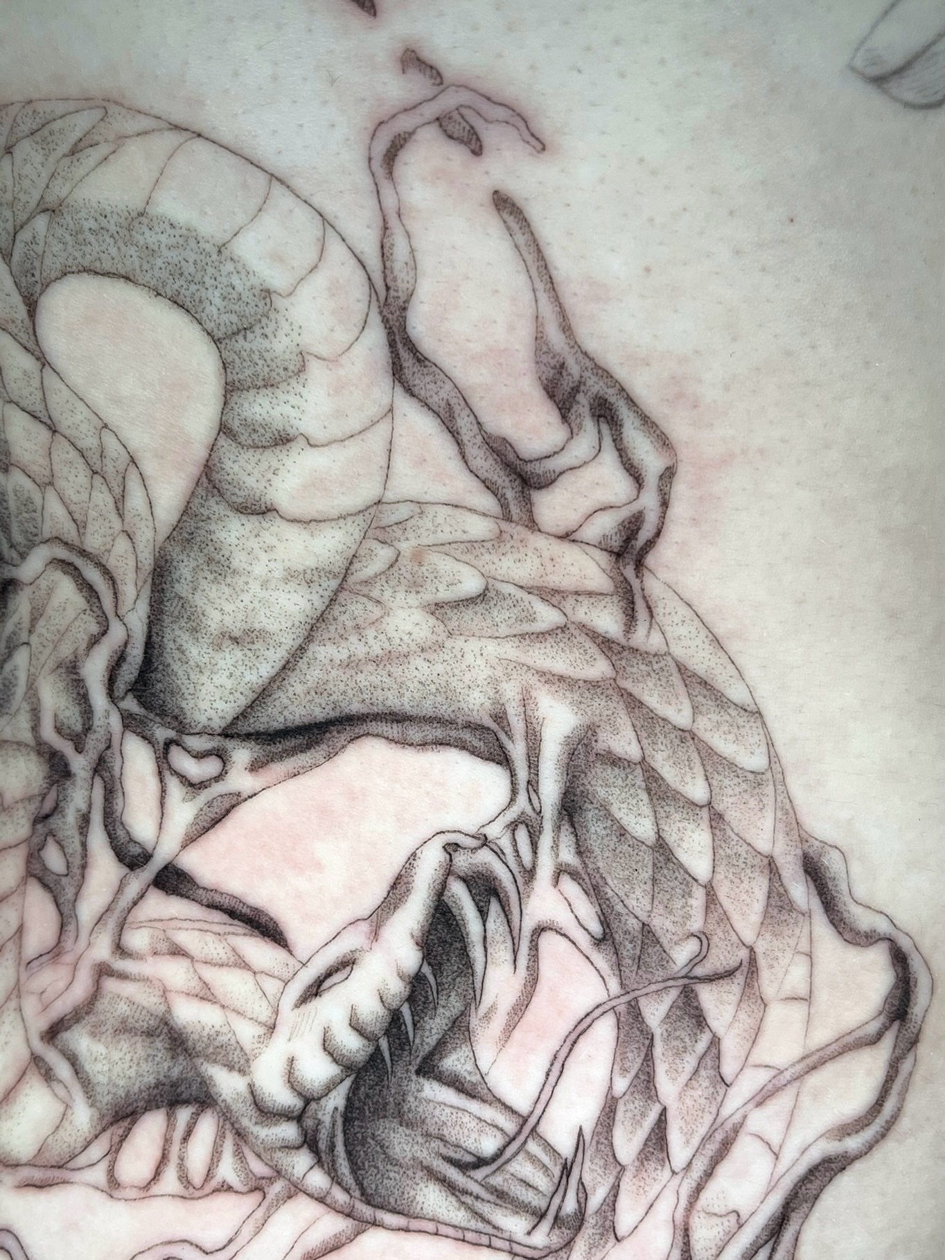 Tattoo by @smq_tattoo — dotwork, realism