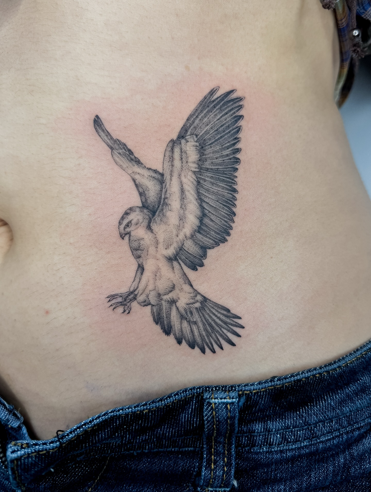 Hawk realism tattoo on the ribs by Emma- Los Angeles Tattoo Artist