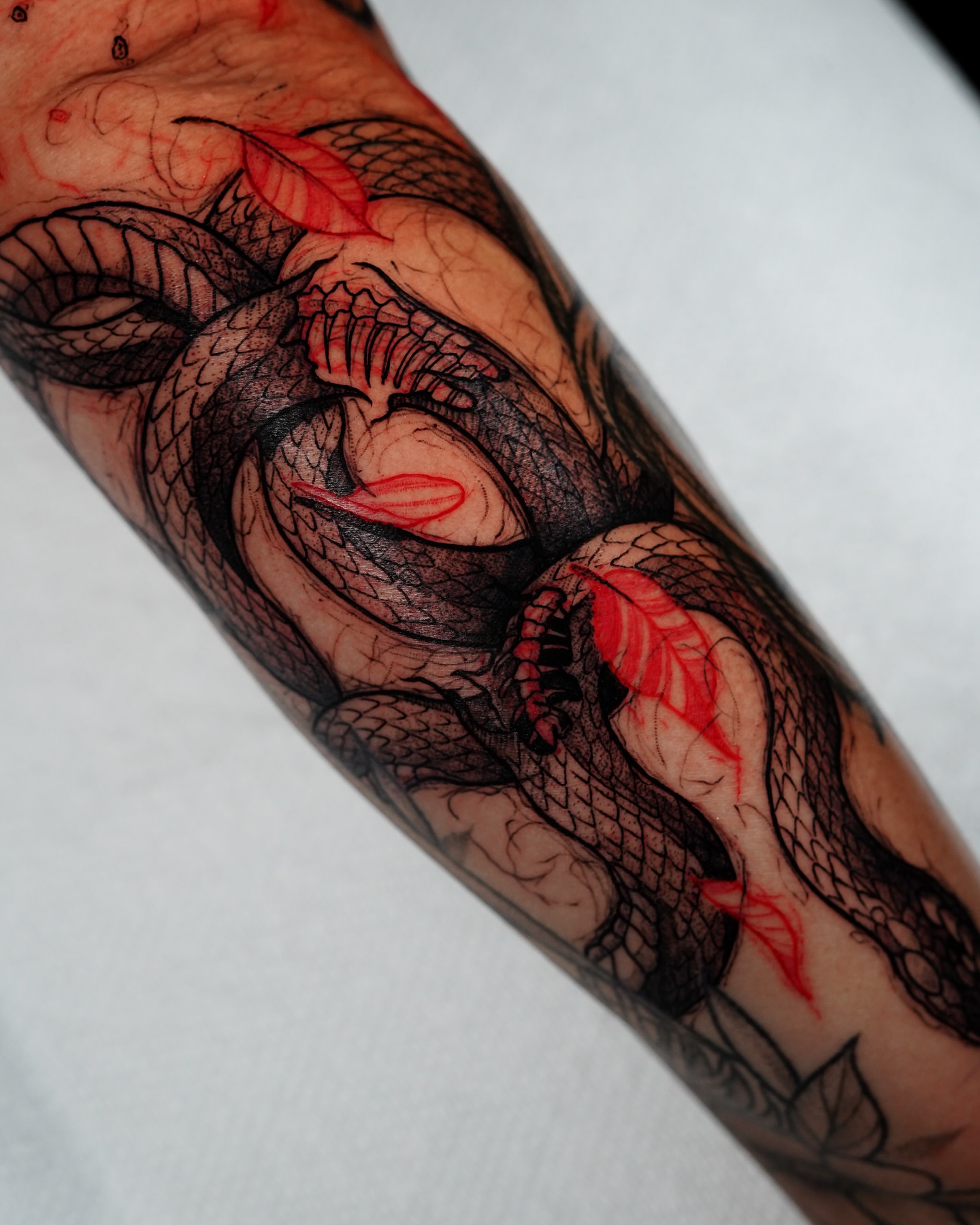 Snake realism tattoo on the forearm by Tony Murray