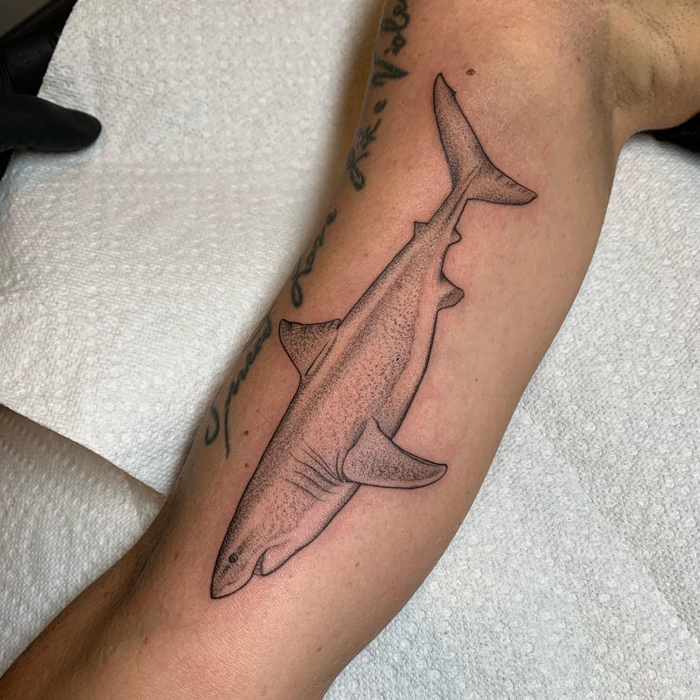 Tattoo by @tabby_wirebach_tattoos — dotwork