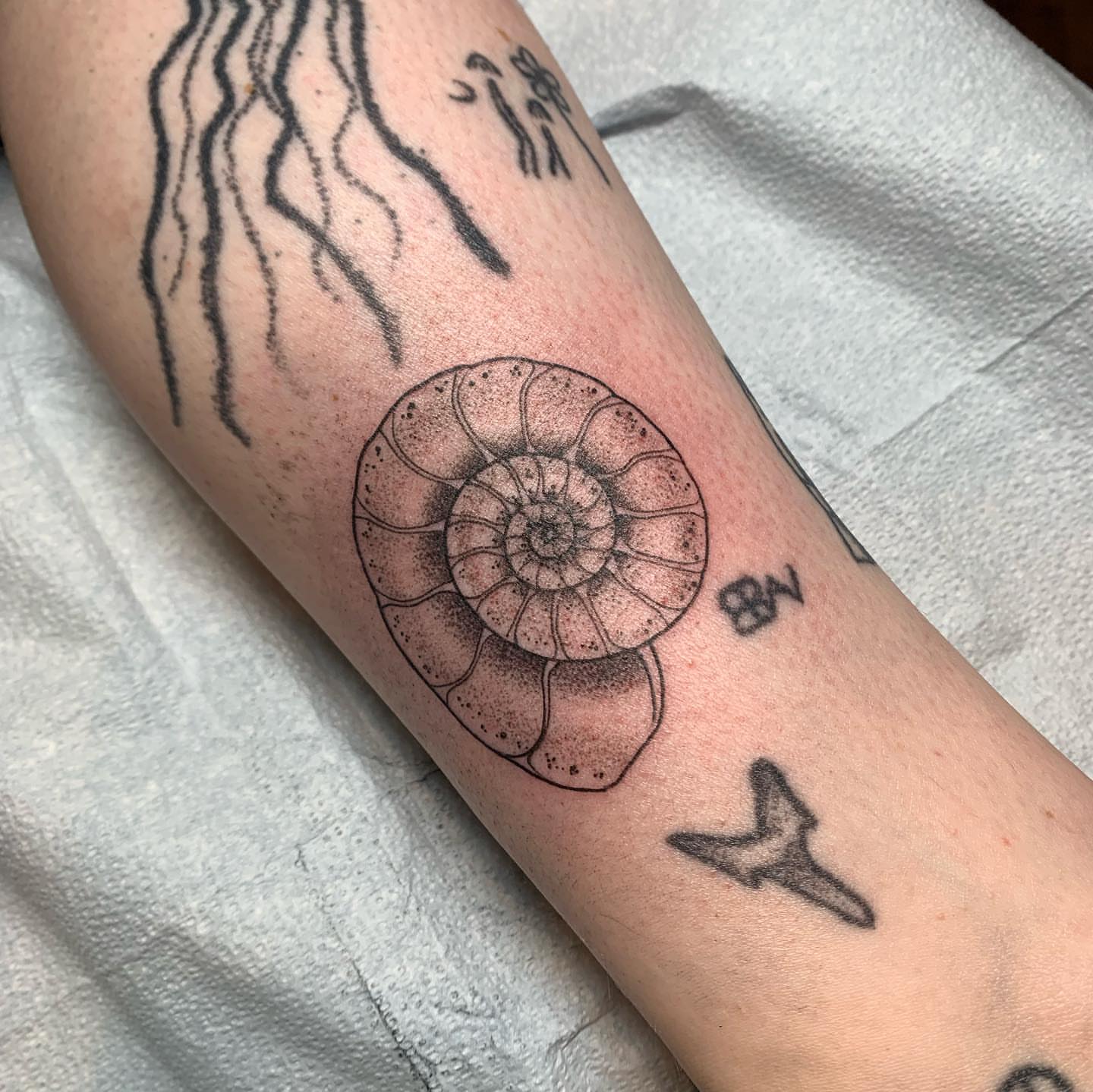 Tattoo by @tabby_wirebach_tattoos — dotwork