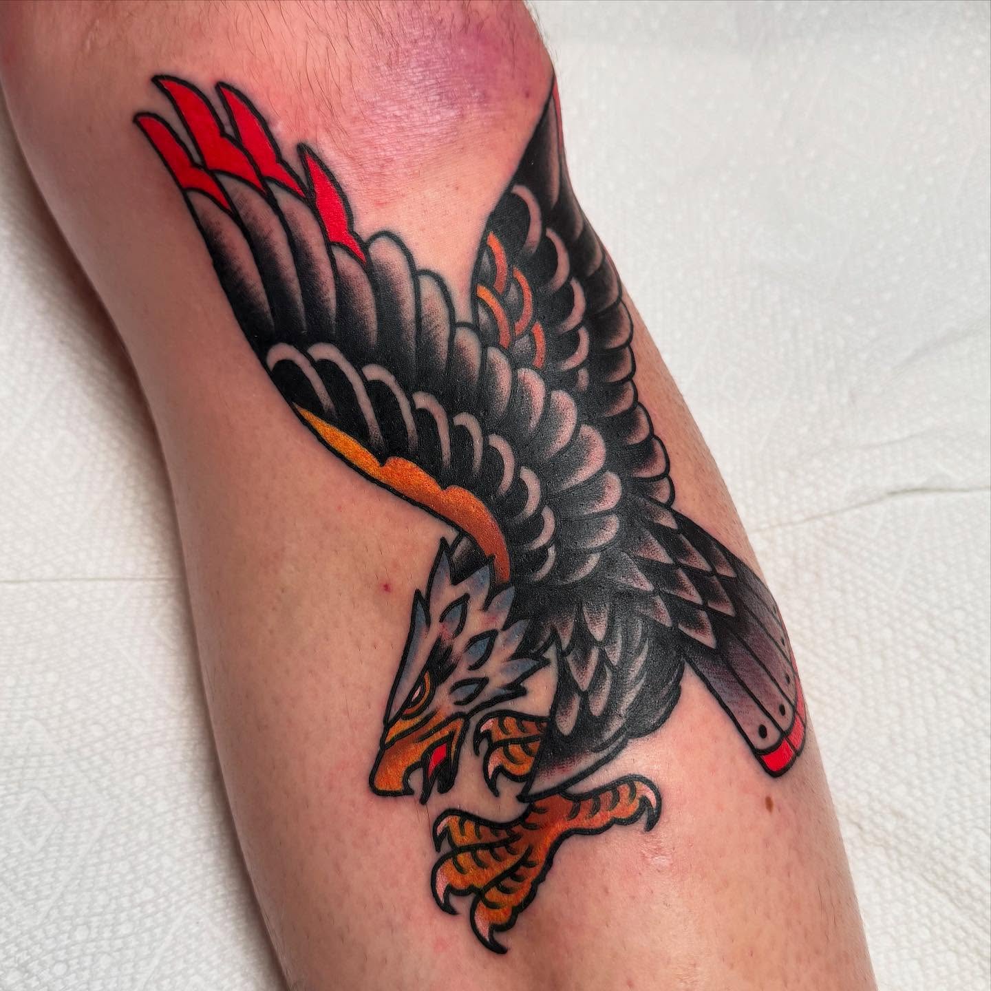 Eagle American traditional tattoo on the forearm by Zach Roman, Madison, Wisconsin