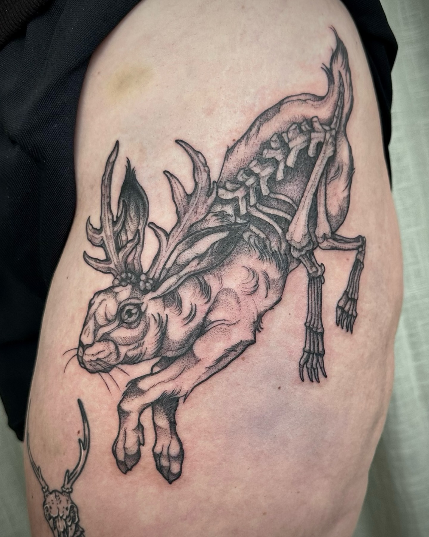 Deer skeleton realism tattoo on the thigh by โฃ ๐ฝ๐๐๐๐๐ ๐ฟ๐๐๐๐๐๐๐๐๐๐๐ โฃ